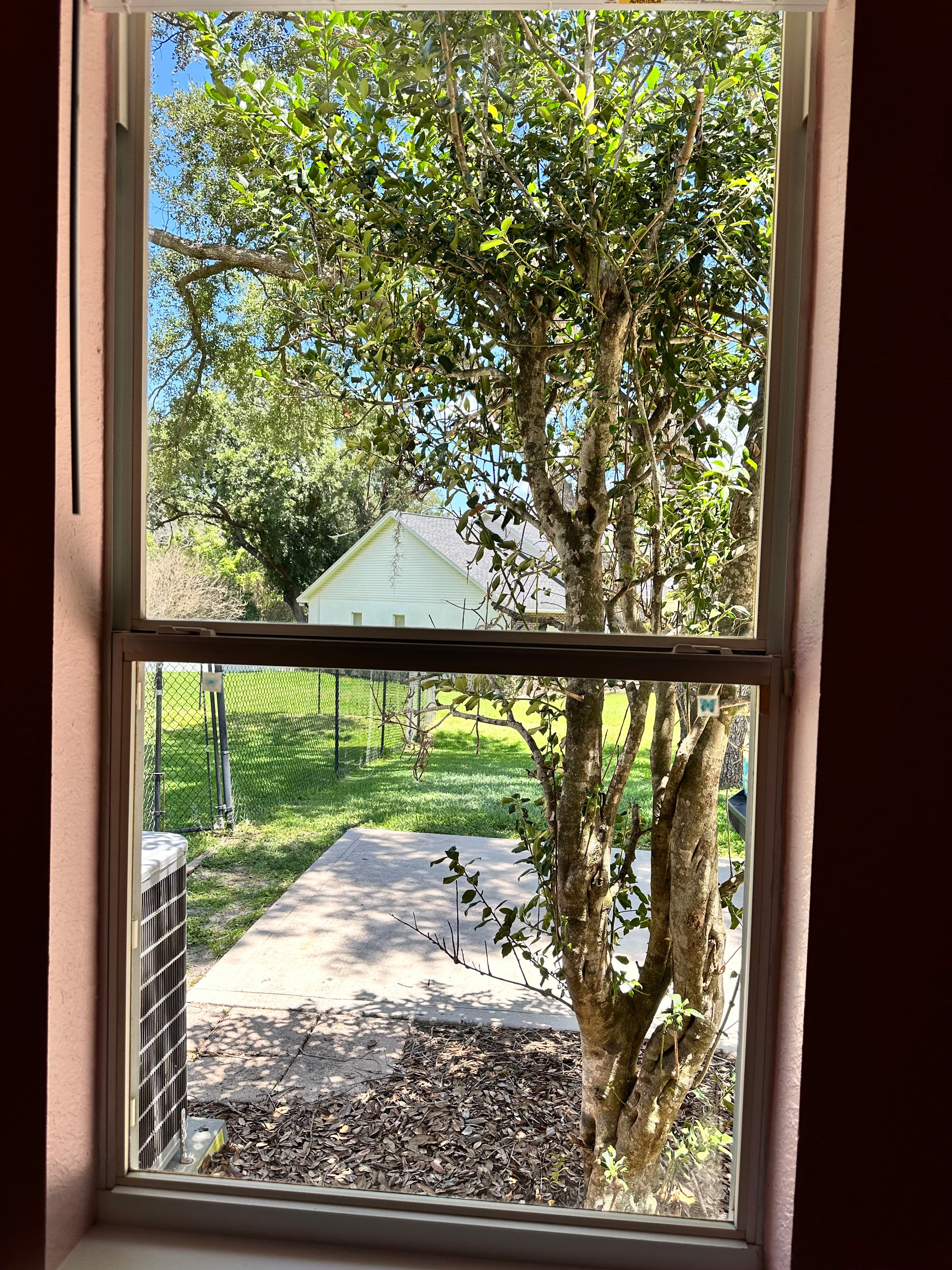Project Clean Windows That Actually Let the Light In image