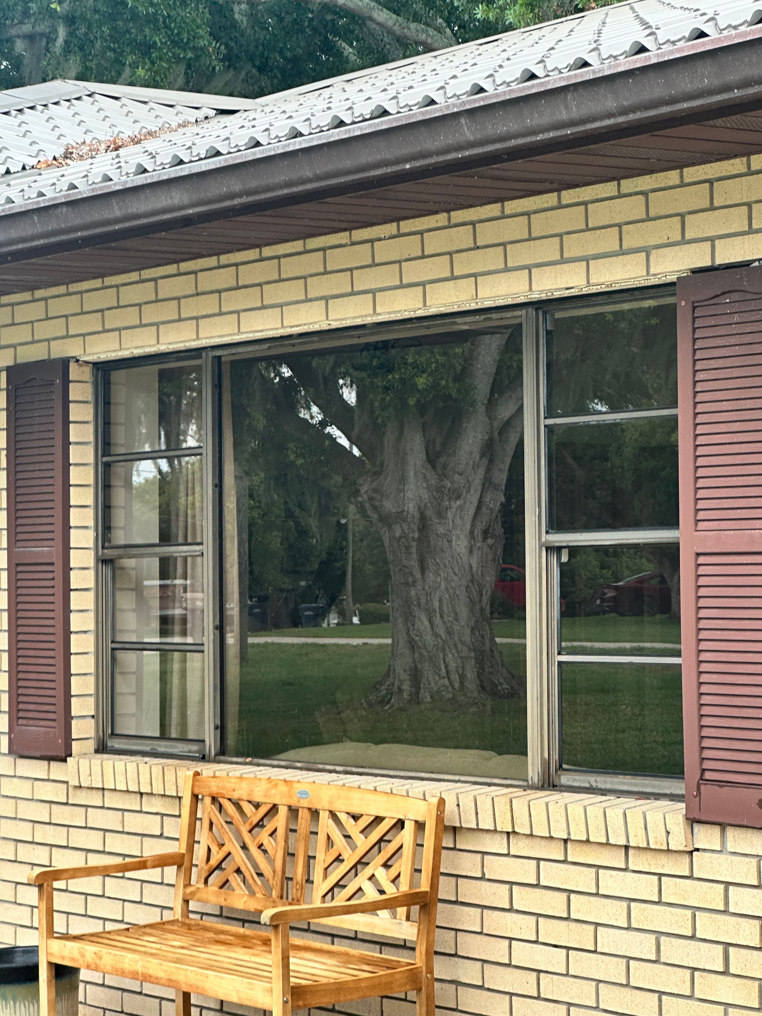 Project Clean Windows Make More of a Difference Than You Think image
