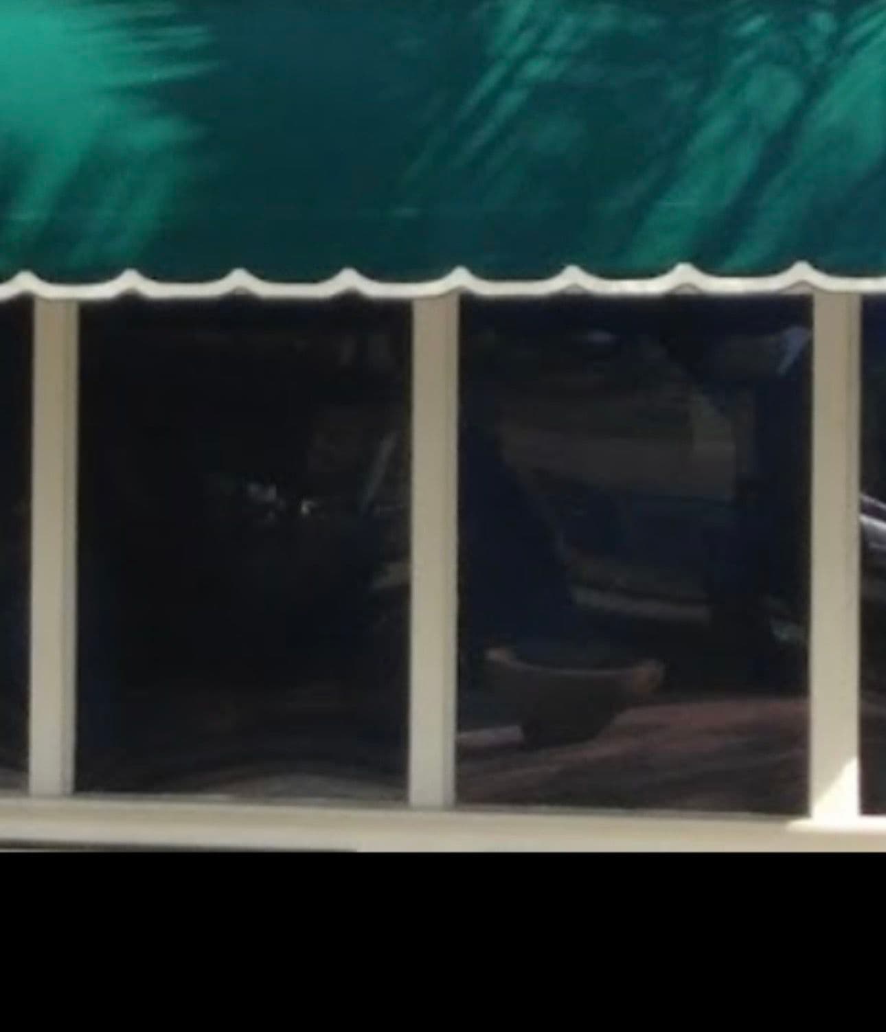 Project Spotlighting Style with Clean Windows in Lakeland image