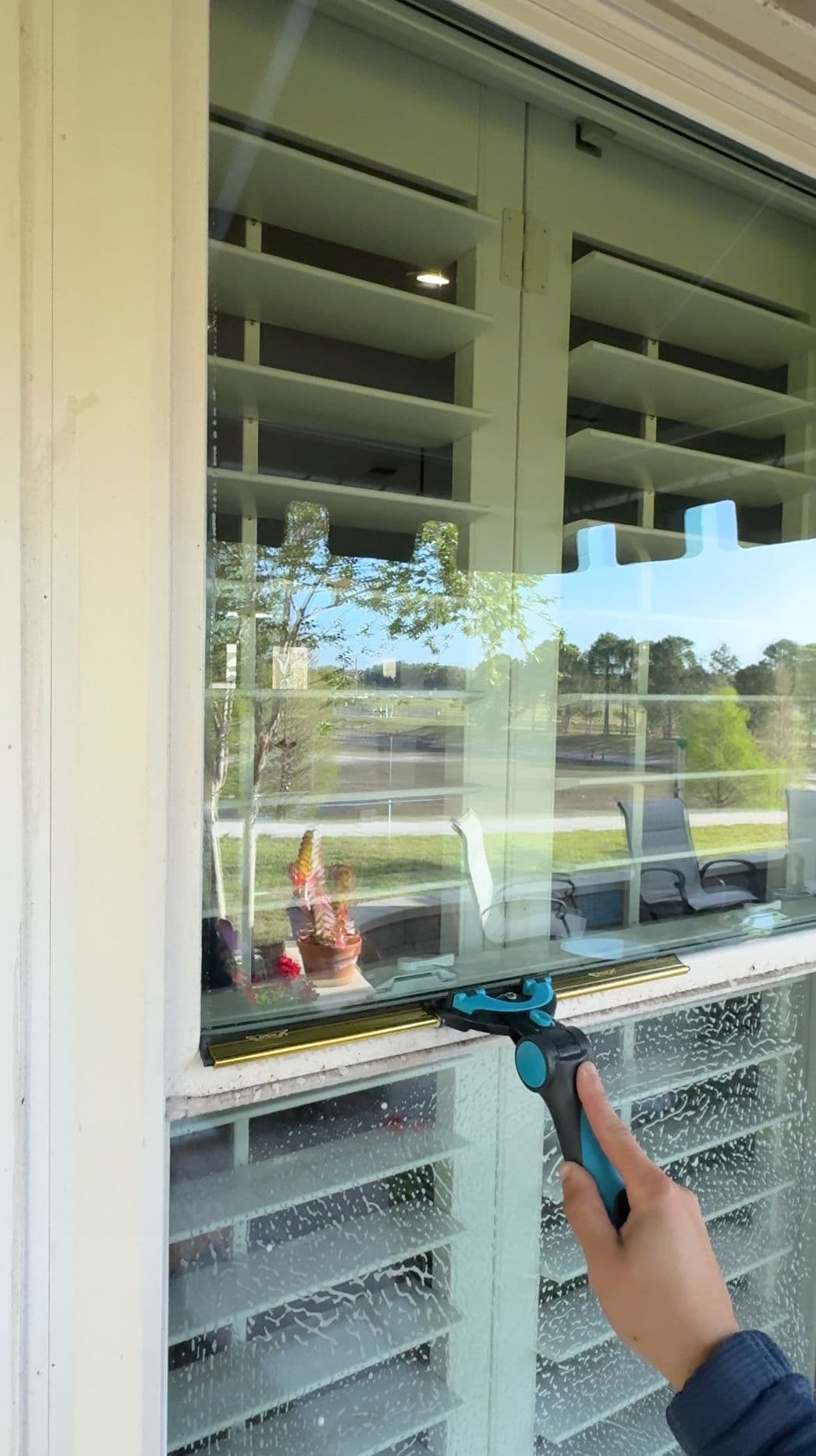 Person cleaning a window with a squeegee, showcasing clear views and a potted plant.