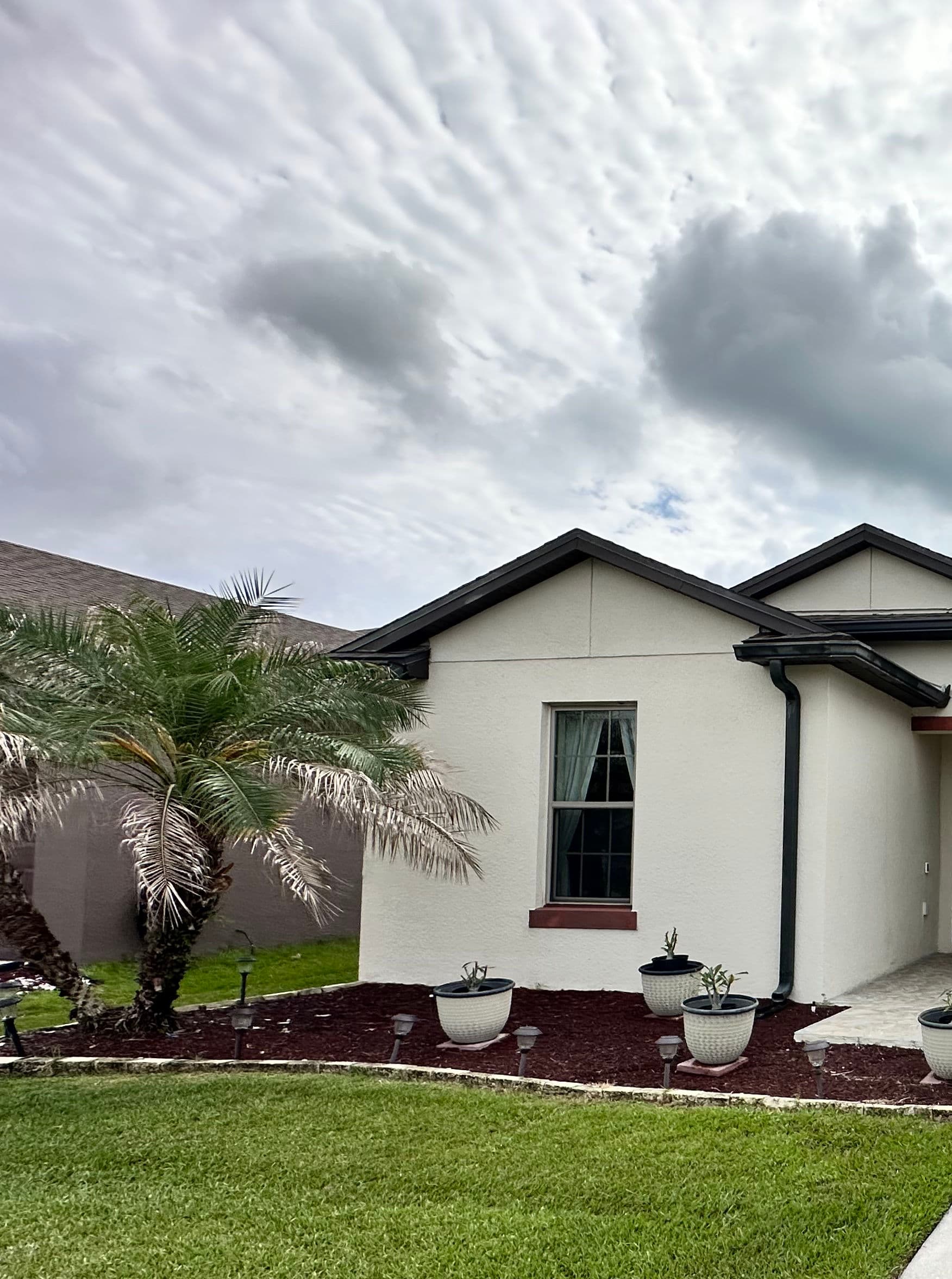 Project Clean Windows Make a Big Difference Even on Cloudy Days image