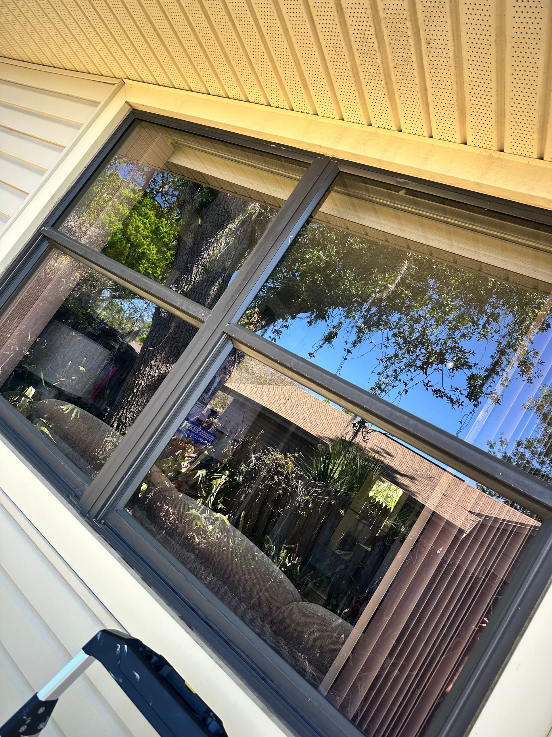 Crystal Clear Views with Expert Window Cleaning image