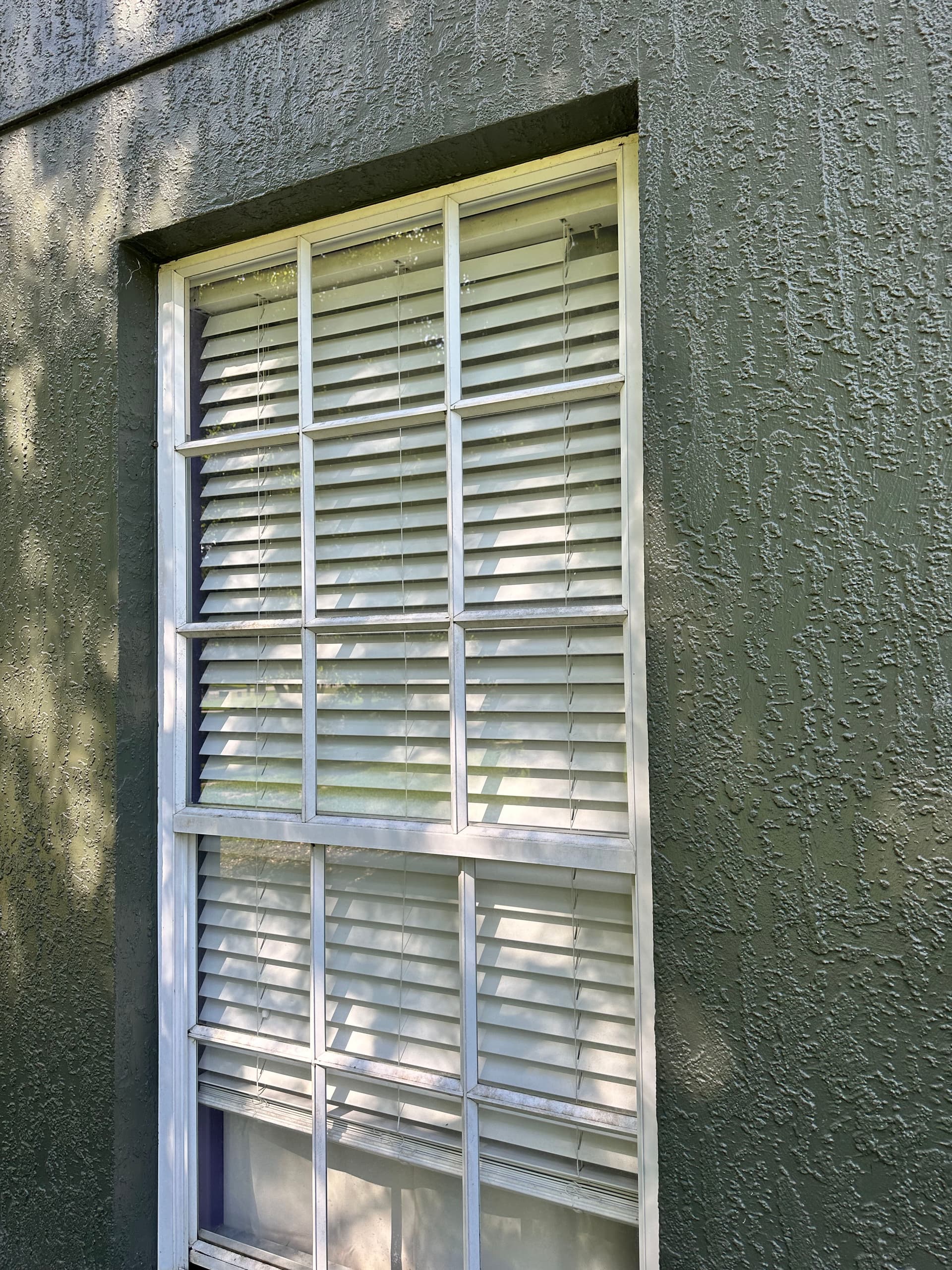 Gallery photos for Clean Windows and Glass Doors Make Your Home Feel Different: Image #4