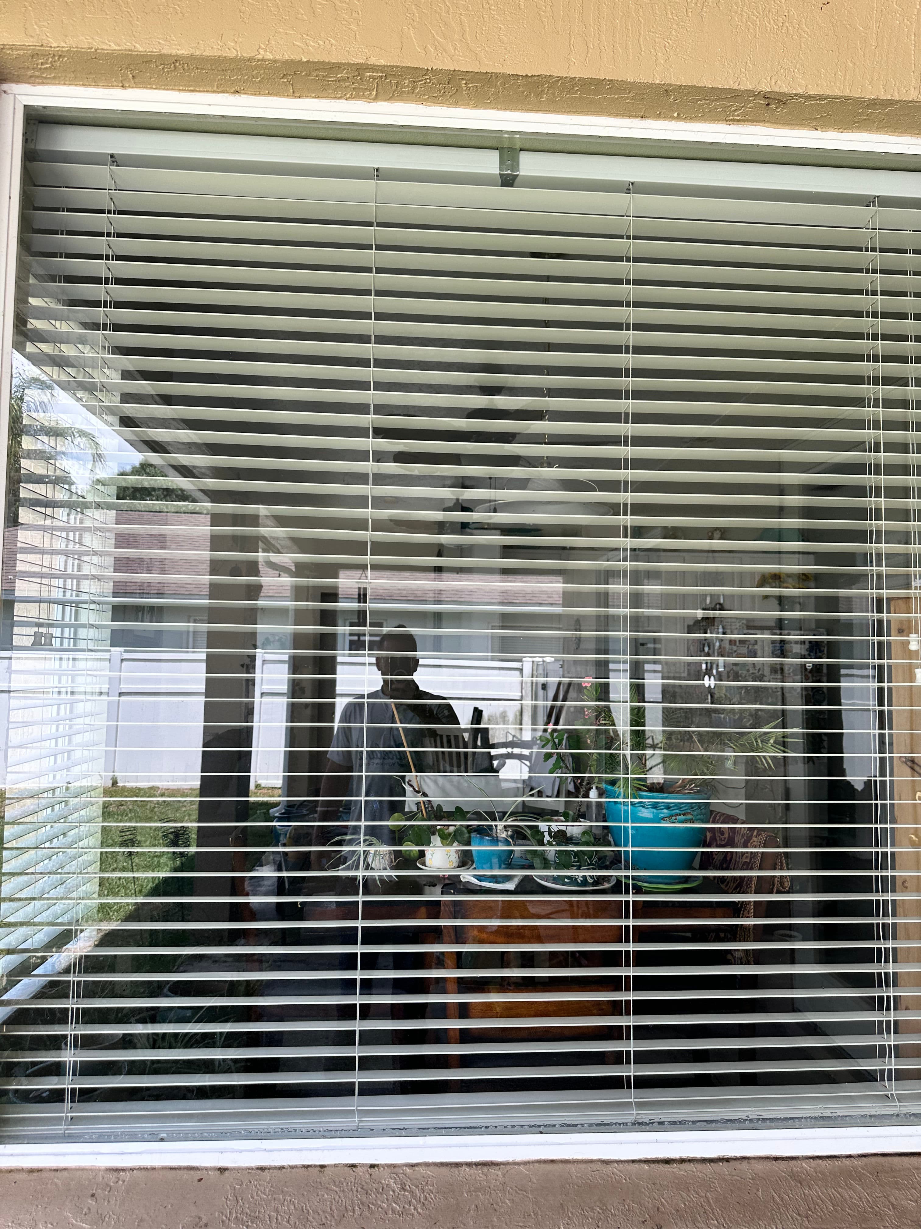 Project Clean Exterior Windows Make a Bigger Difference Than You Think image