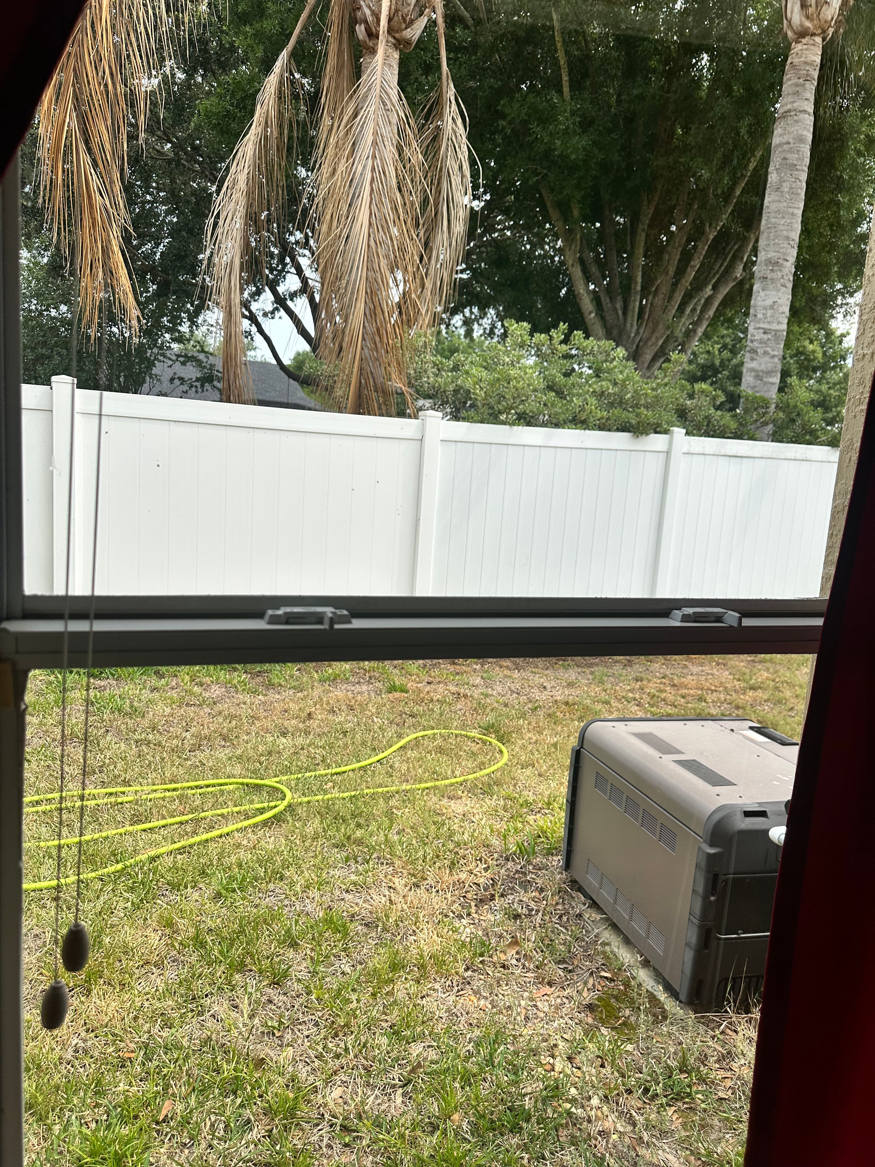Project Clean Windows That Actually Let the Light In image