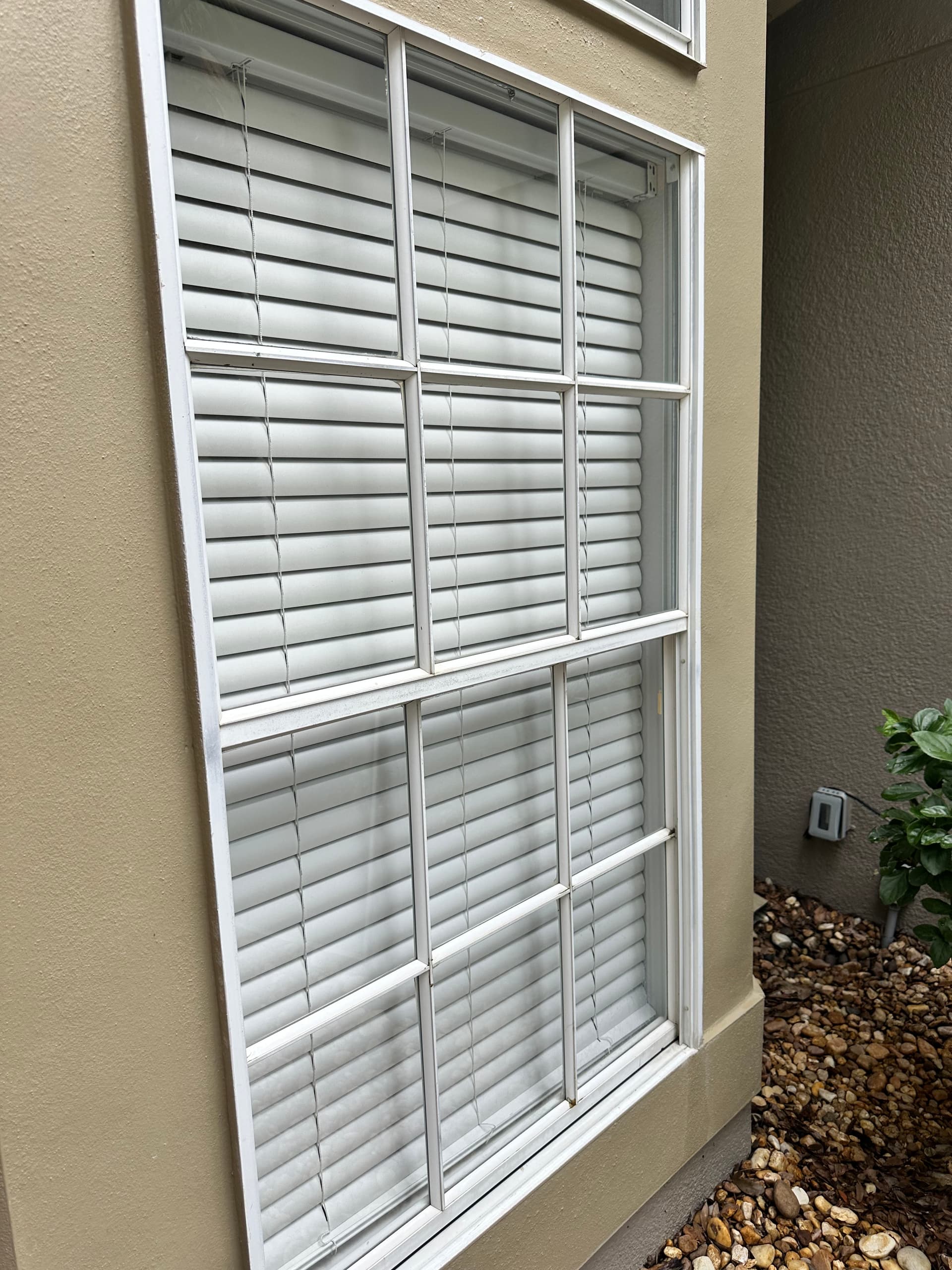 Exterior Window Cleaning Done Right for Lakeland Homes image