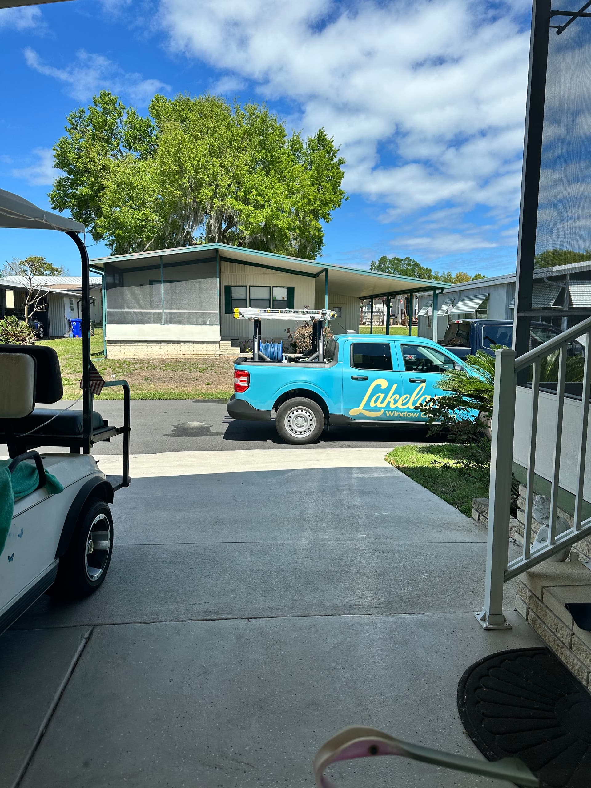 Efficient Tree Removal and Pristine Window Cleaning image