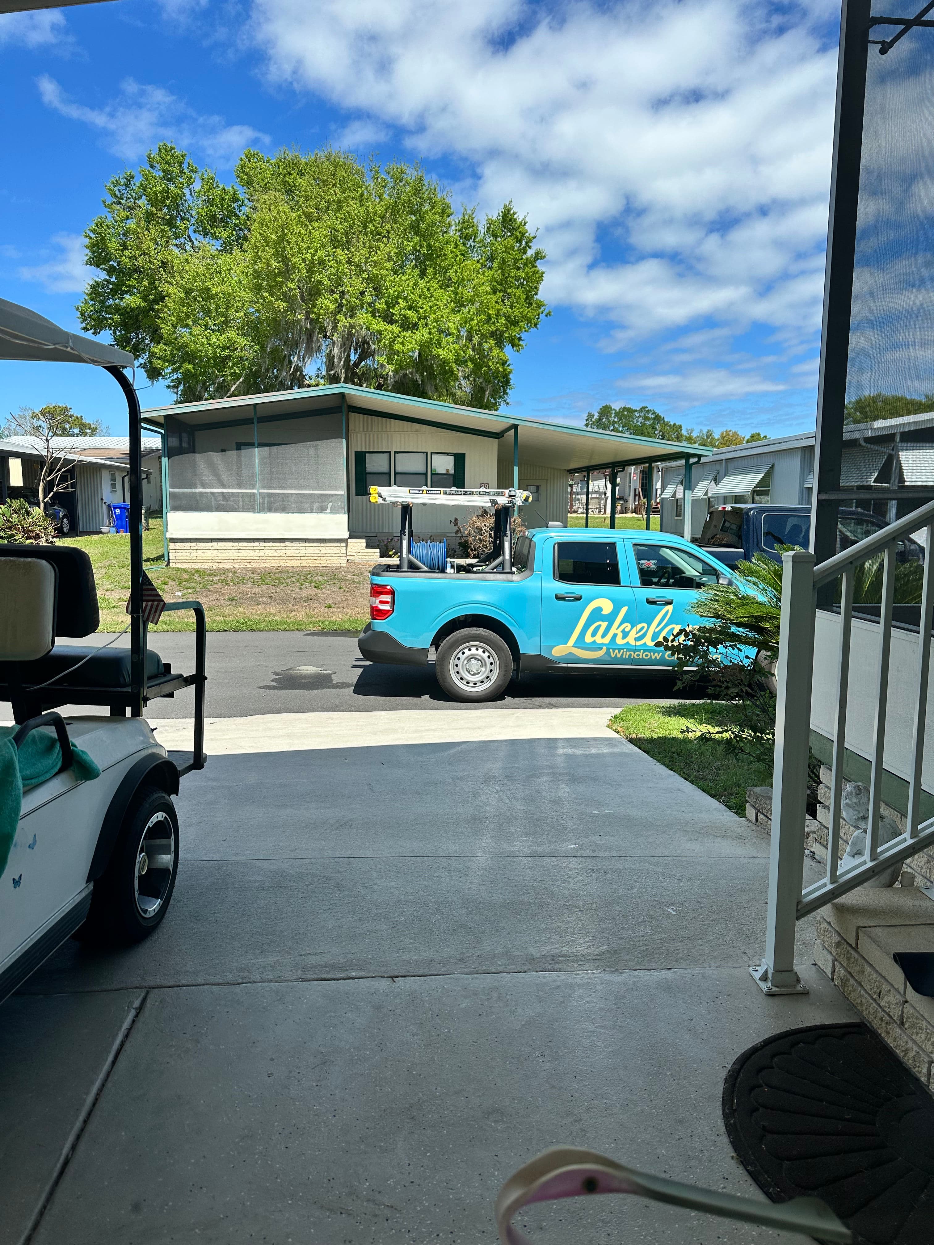 Project Efficient Tree Removal and Pristine Window Cleaning image