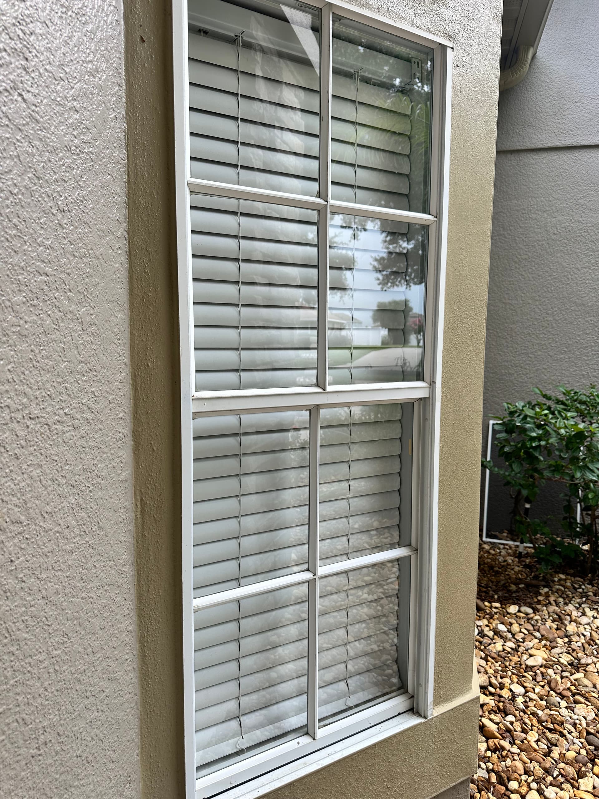Gallery photos for Exterior Window Cleaning Done Right for Lakeland Homes: Image #1