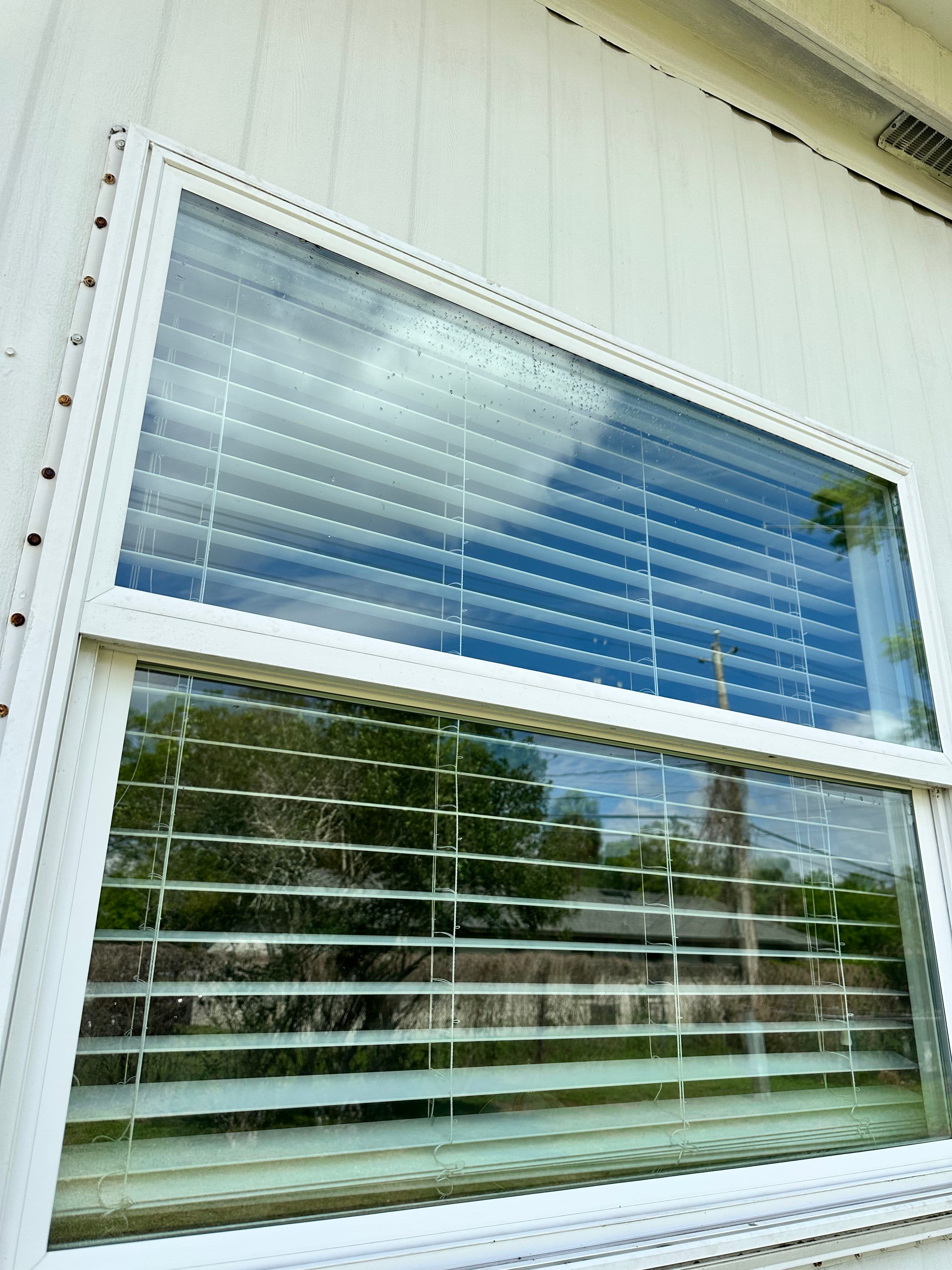 Project Enjoy the Summer with Pristine Windows image