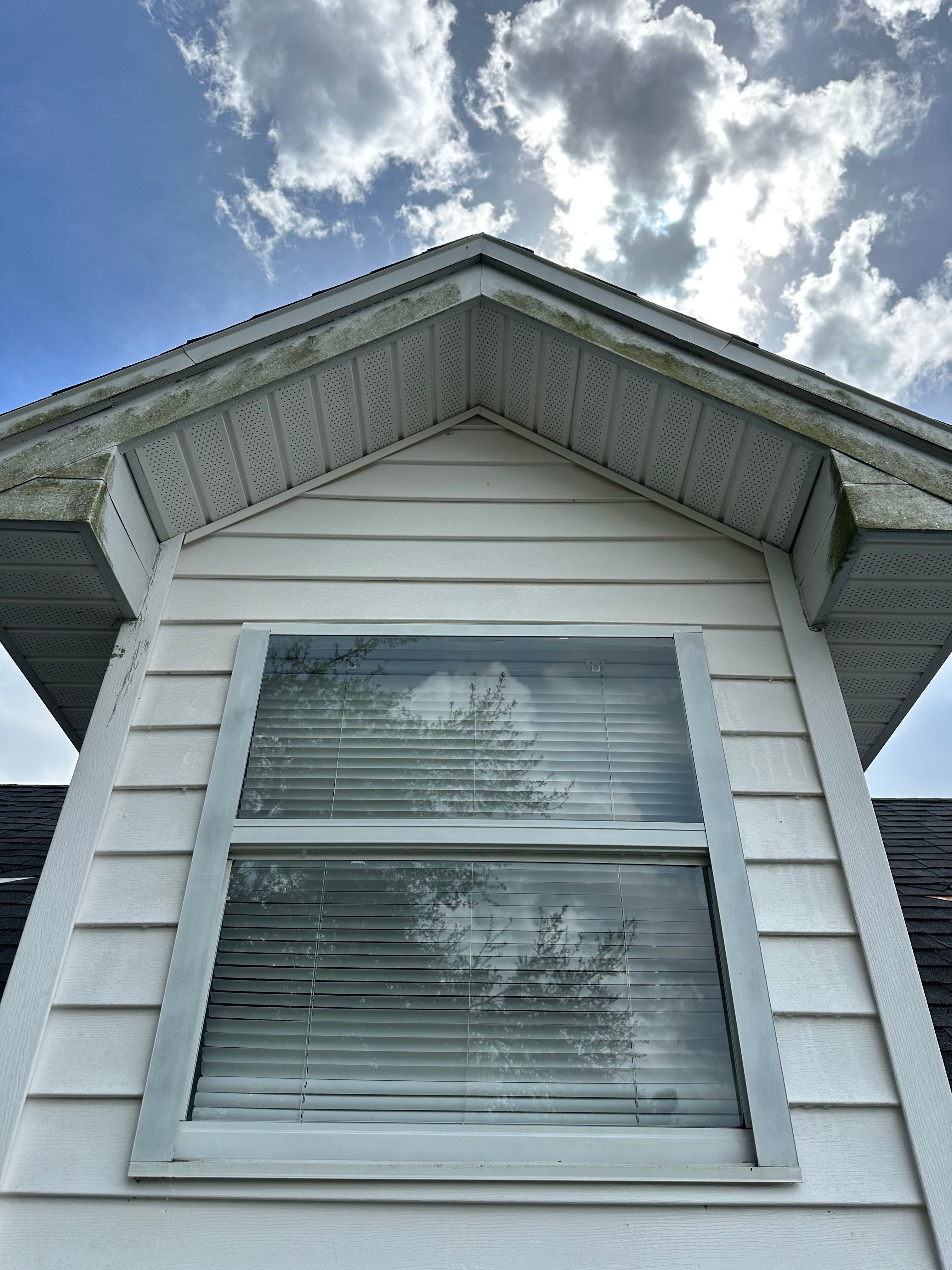 Project Reflecting Dreams and Possibilities with Freshly Cleaned Windows image