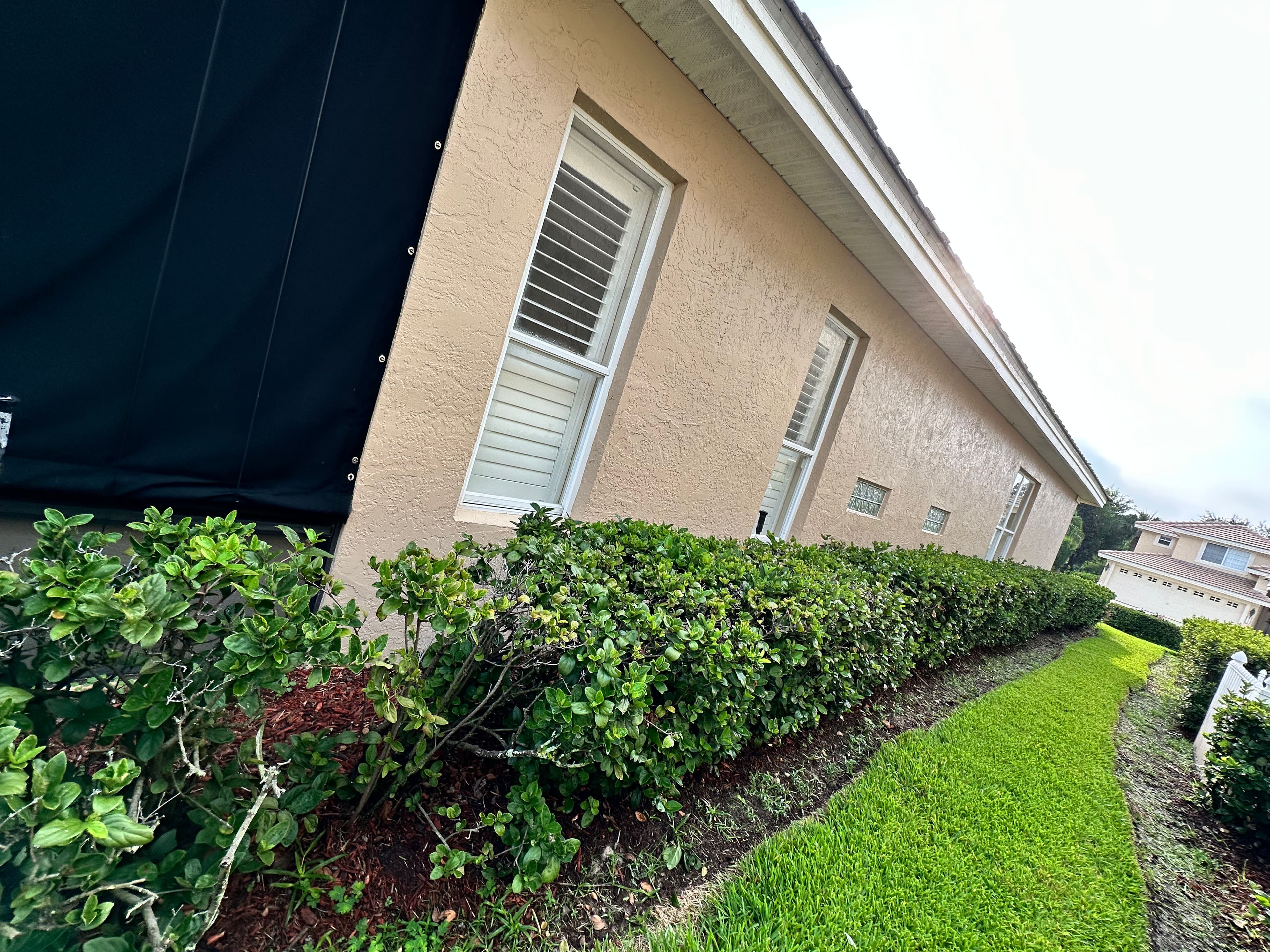 Project Clean Windows Make Your Whole Exterior Look Sharp image