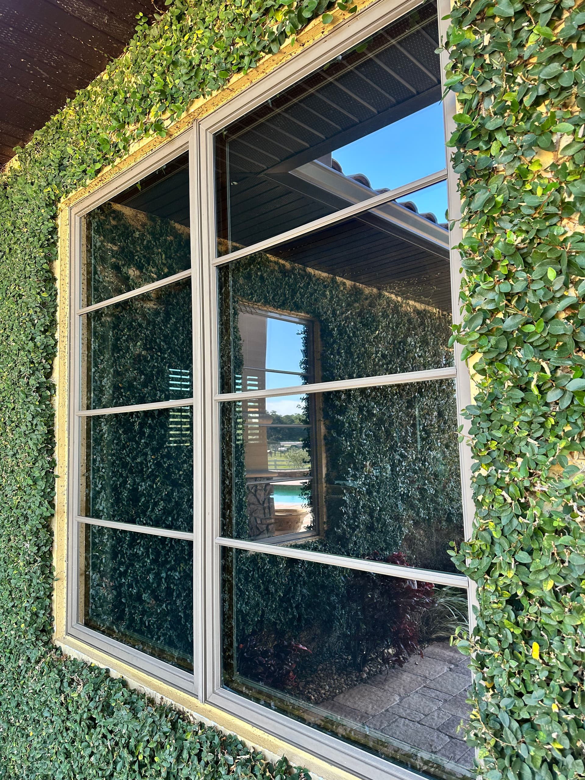 Clean Windows That Actually Show Off Your View image