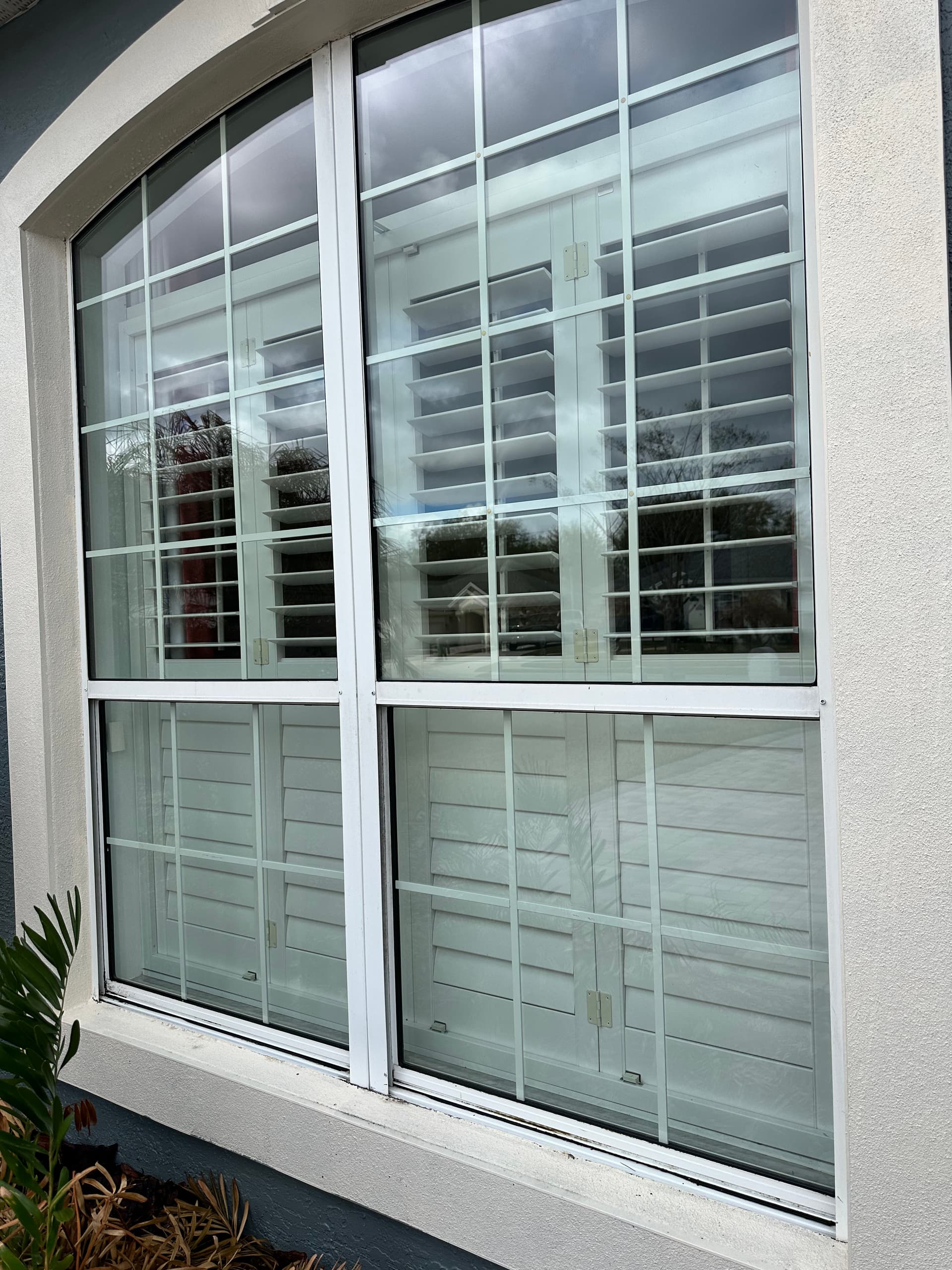 Enjoy Suburban Bliss with Crystal Clear Windows image