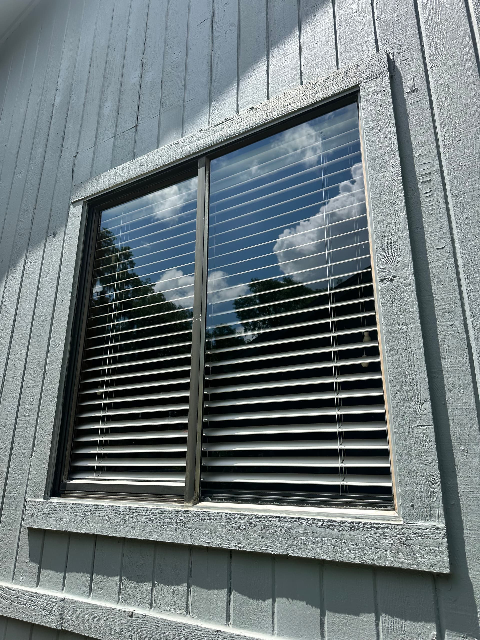 Exterior Window Cleaning That Brings the Outside In image