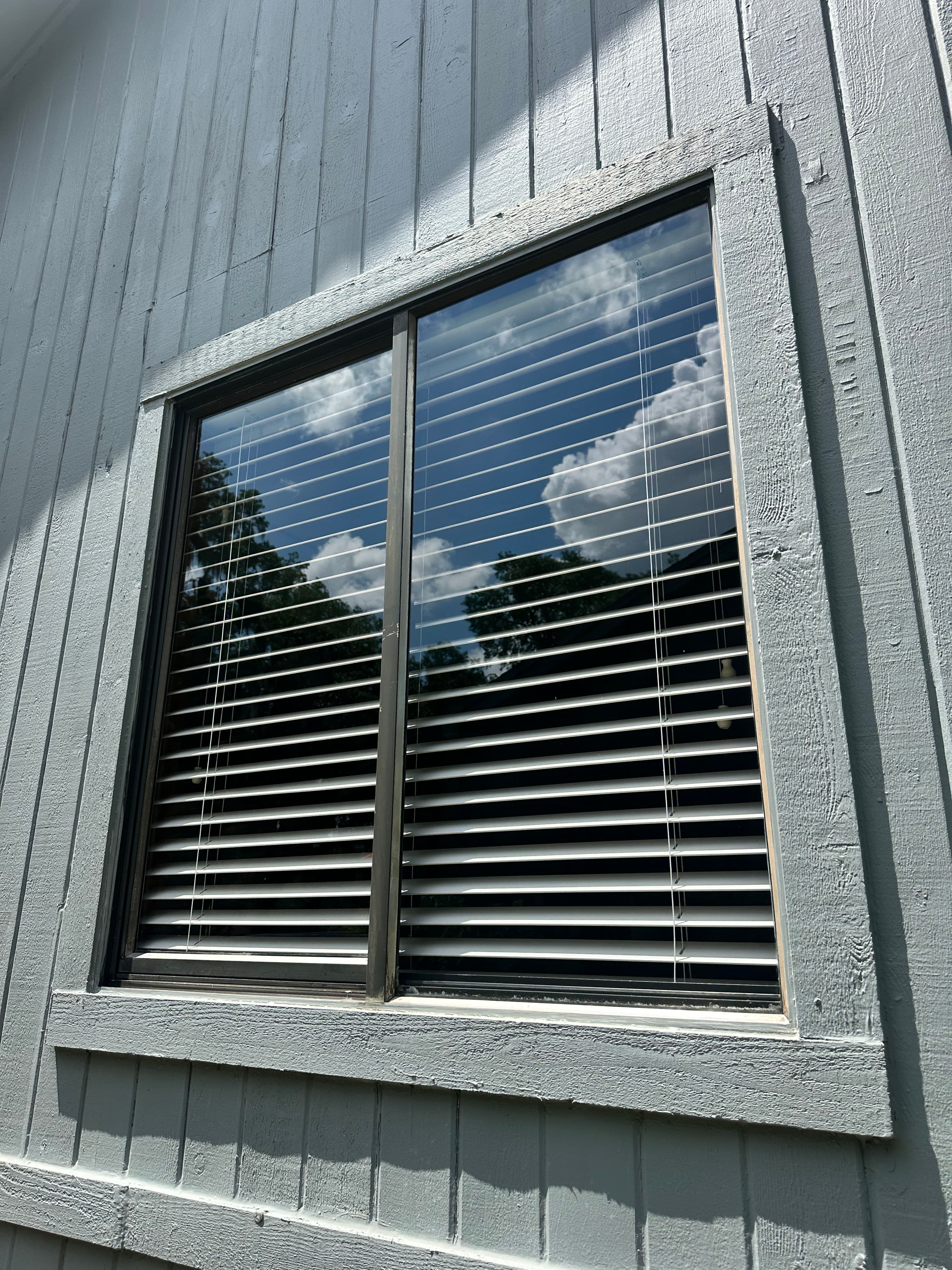 Project Exterior Window Cleaning That Brings the Outside In image