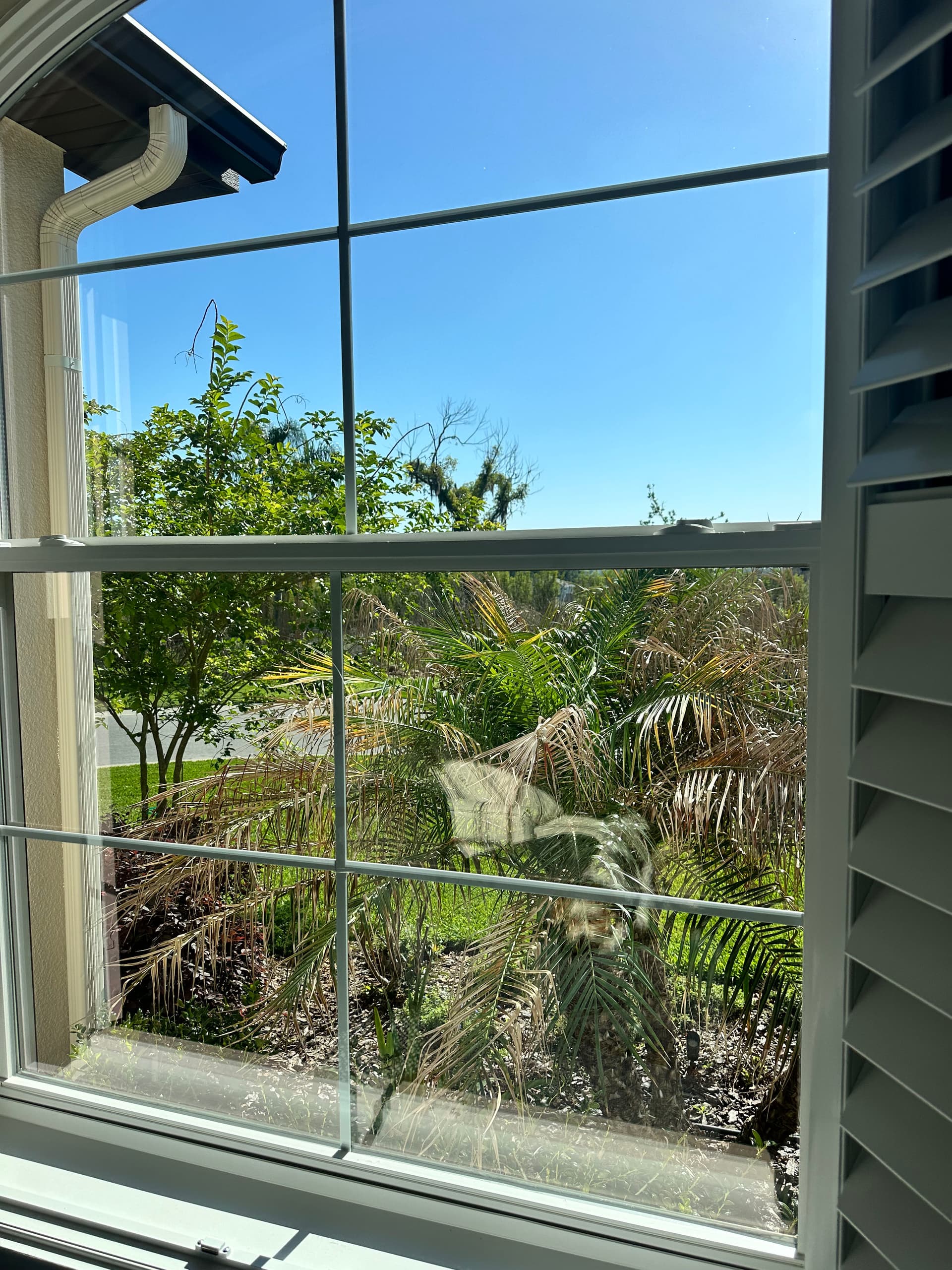Clean Windows Mean Better Views in Lakeland image