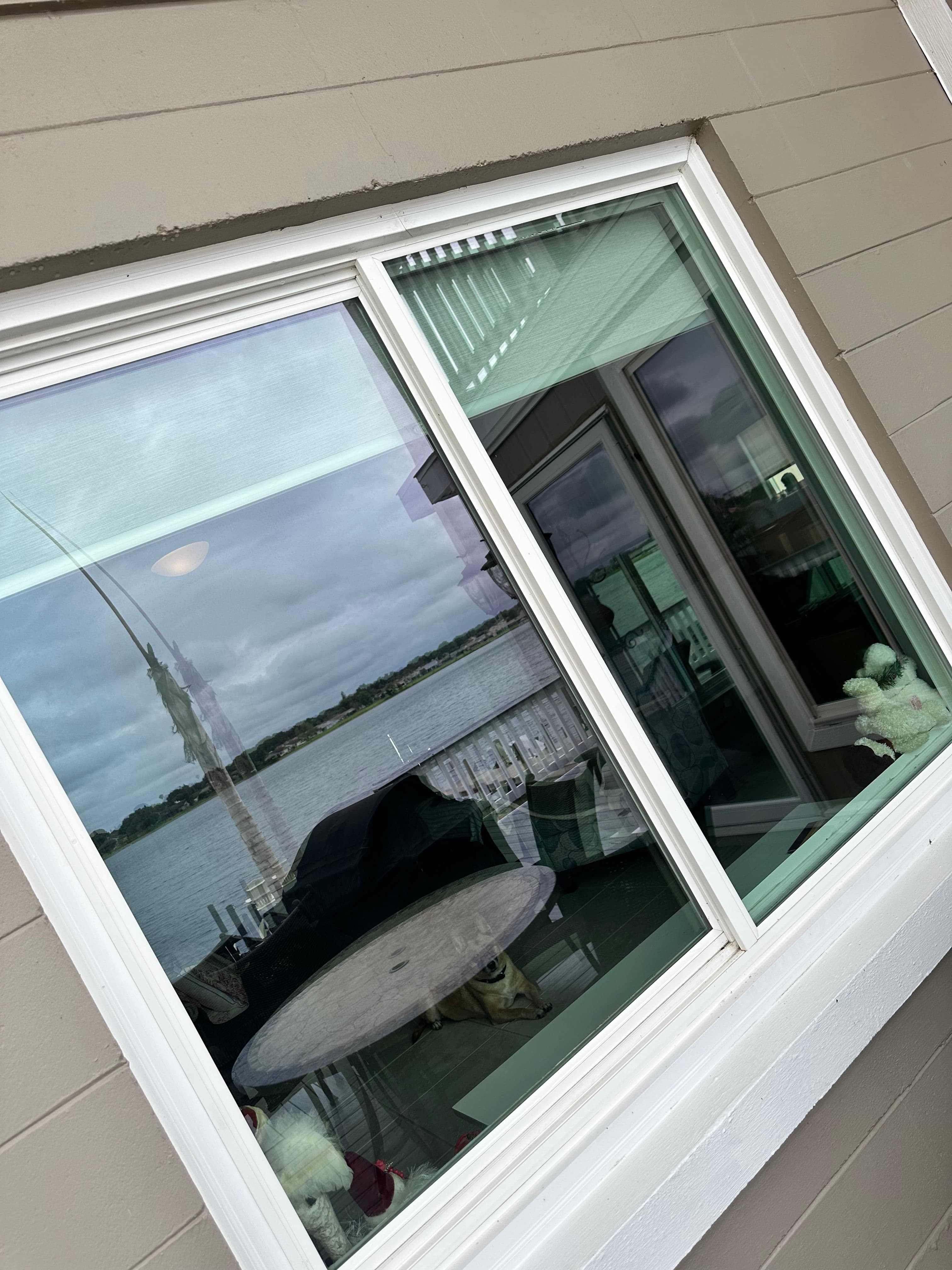 Project Crystal-Clear Windows That Actually Let the View In image