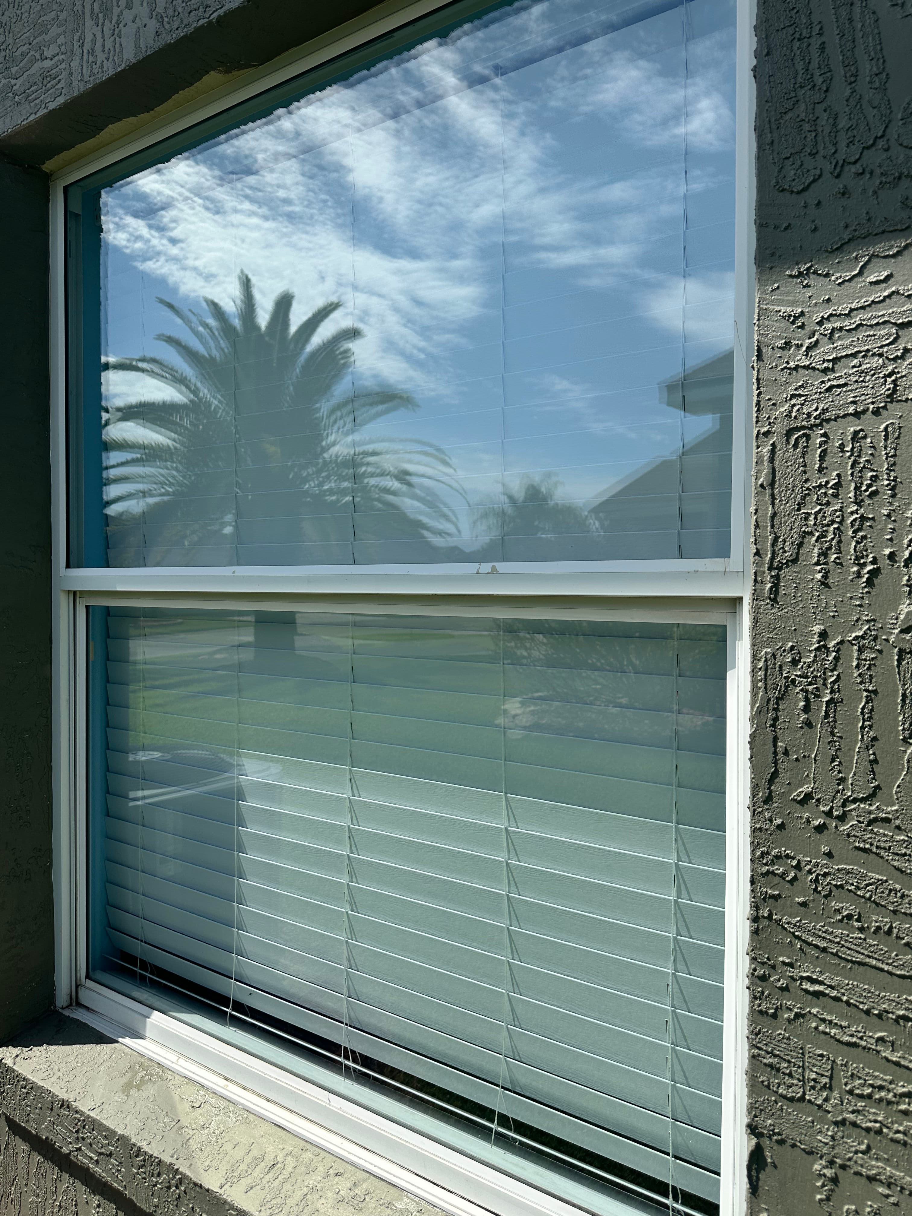 Project Clean Exterior Windows Make a Bigger Difference Than You Think image