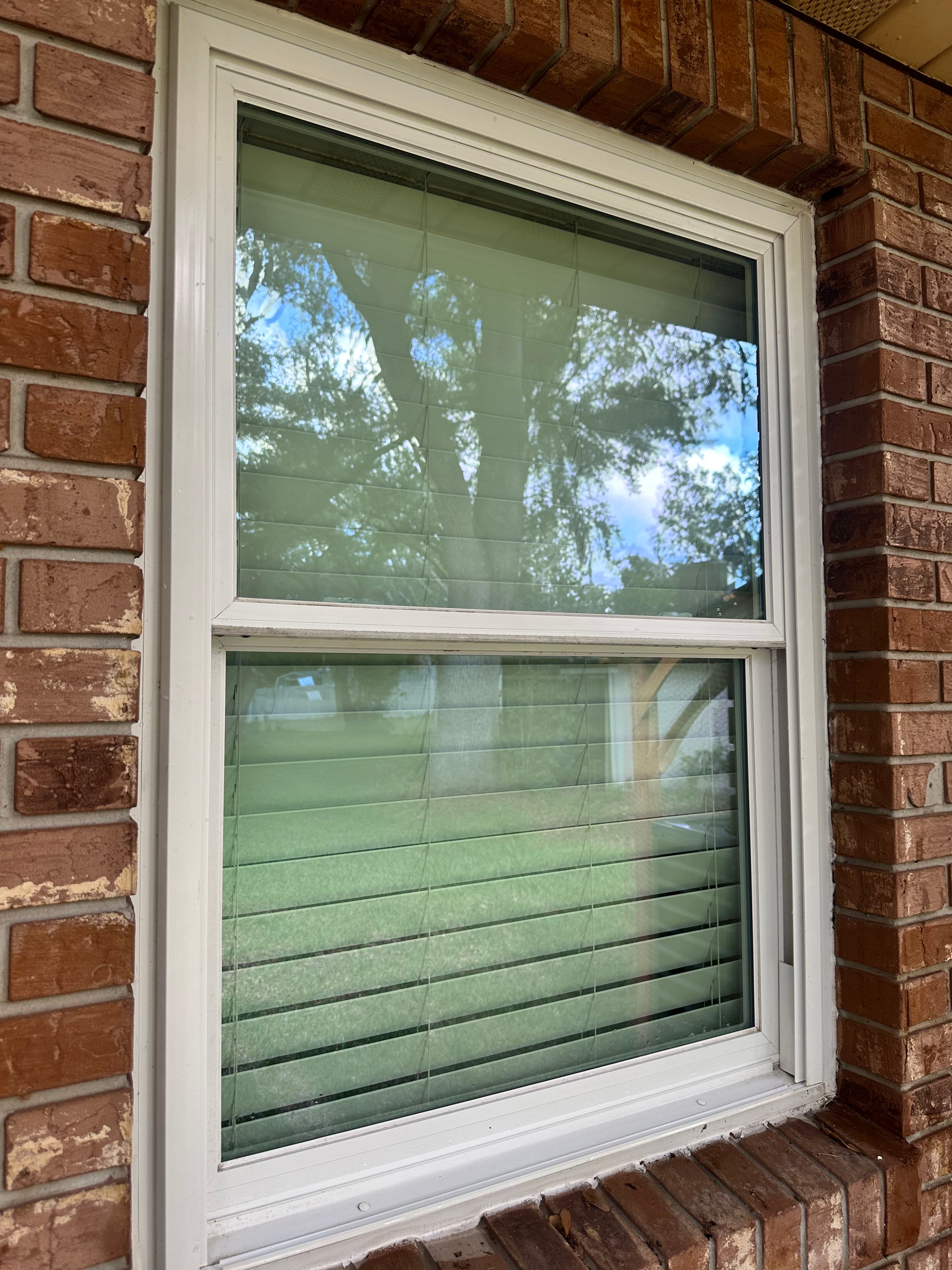 Project Clean Windows Make Your Lakeland Home Look Sharp image