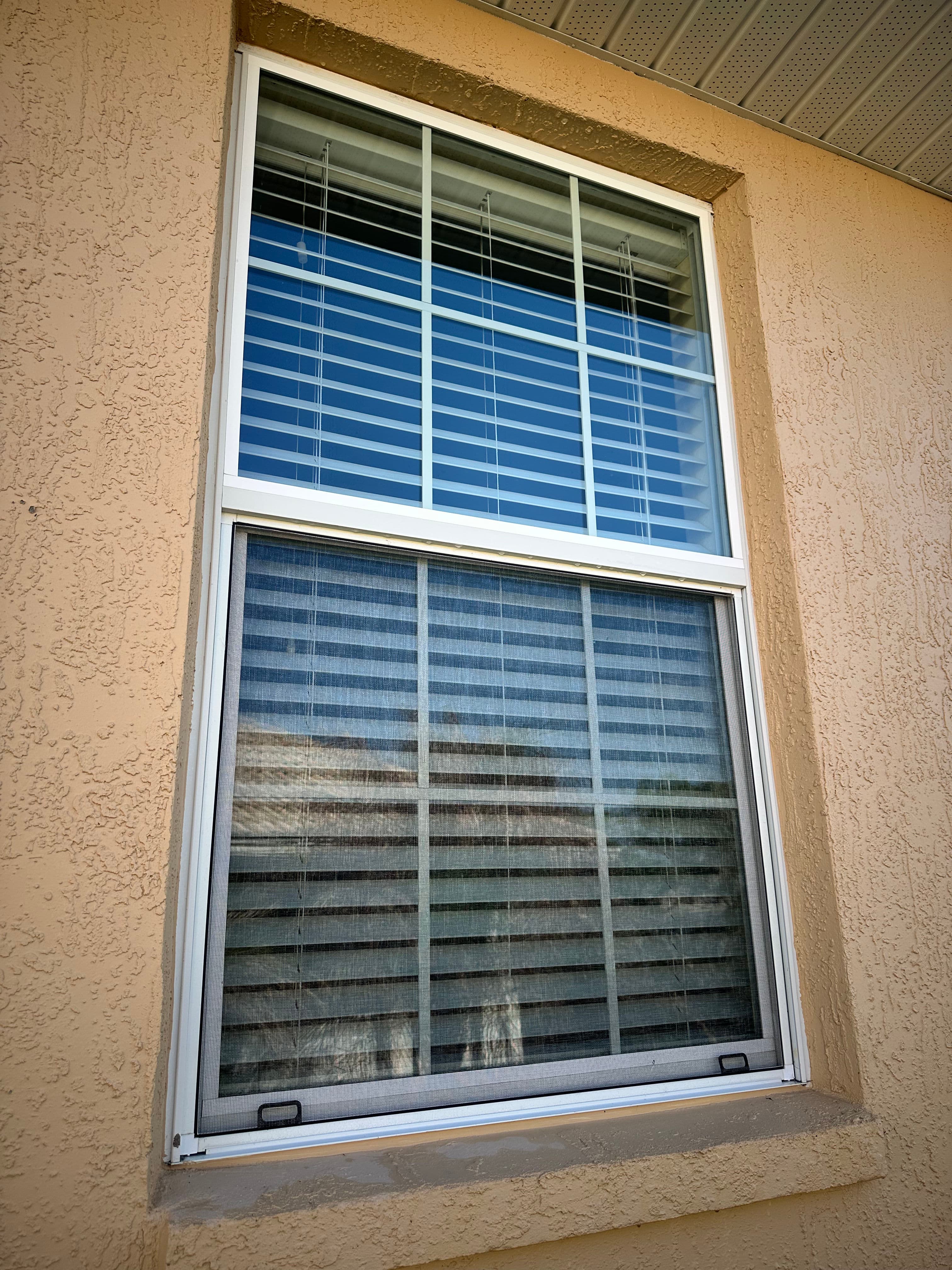 Project What Florida Weather Does to Your Windows Between Cleanings image