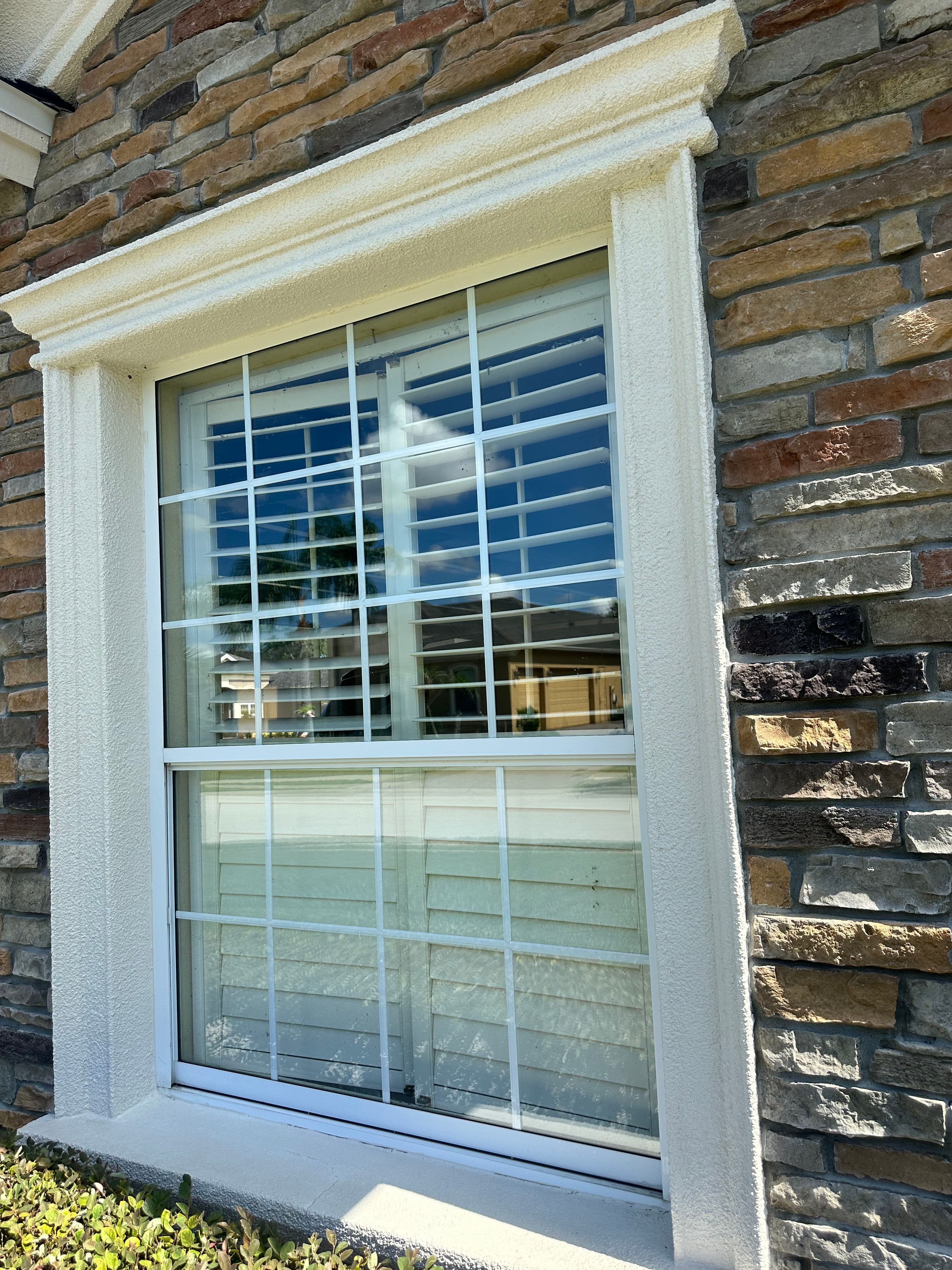 Project Clean Windows Make Your Whole Home Look Better image