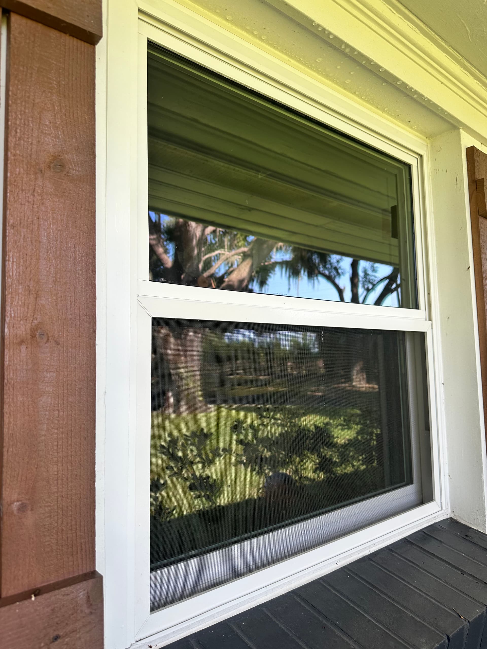 Clean Exterior Windows That Actually Let You See Outside image