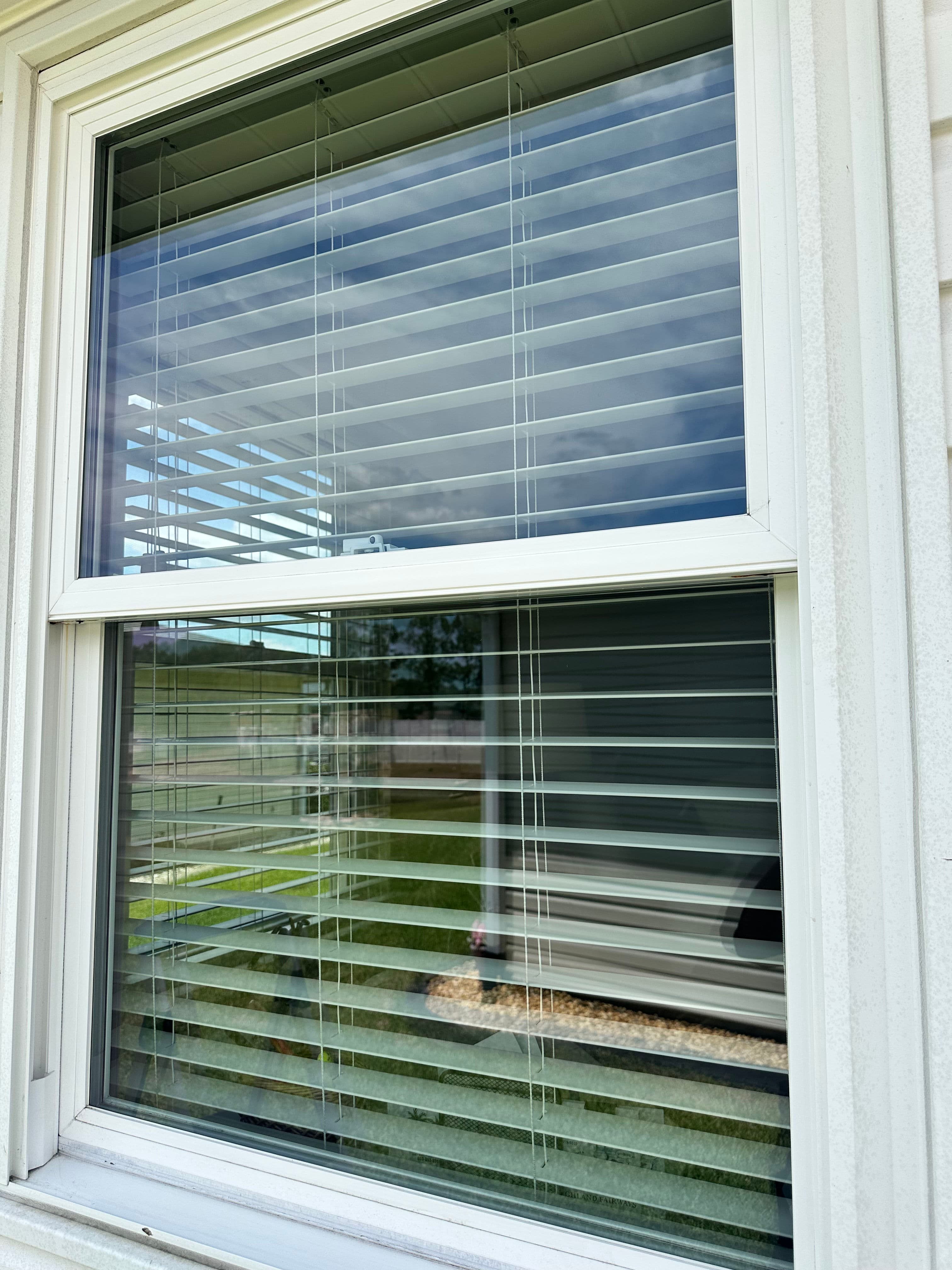 Project Why a Regular Exterior Window Cleaning Plan Just Makes Sense image