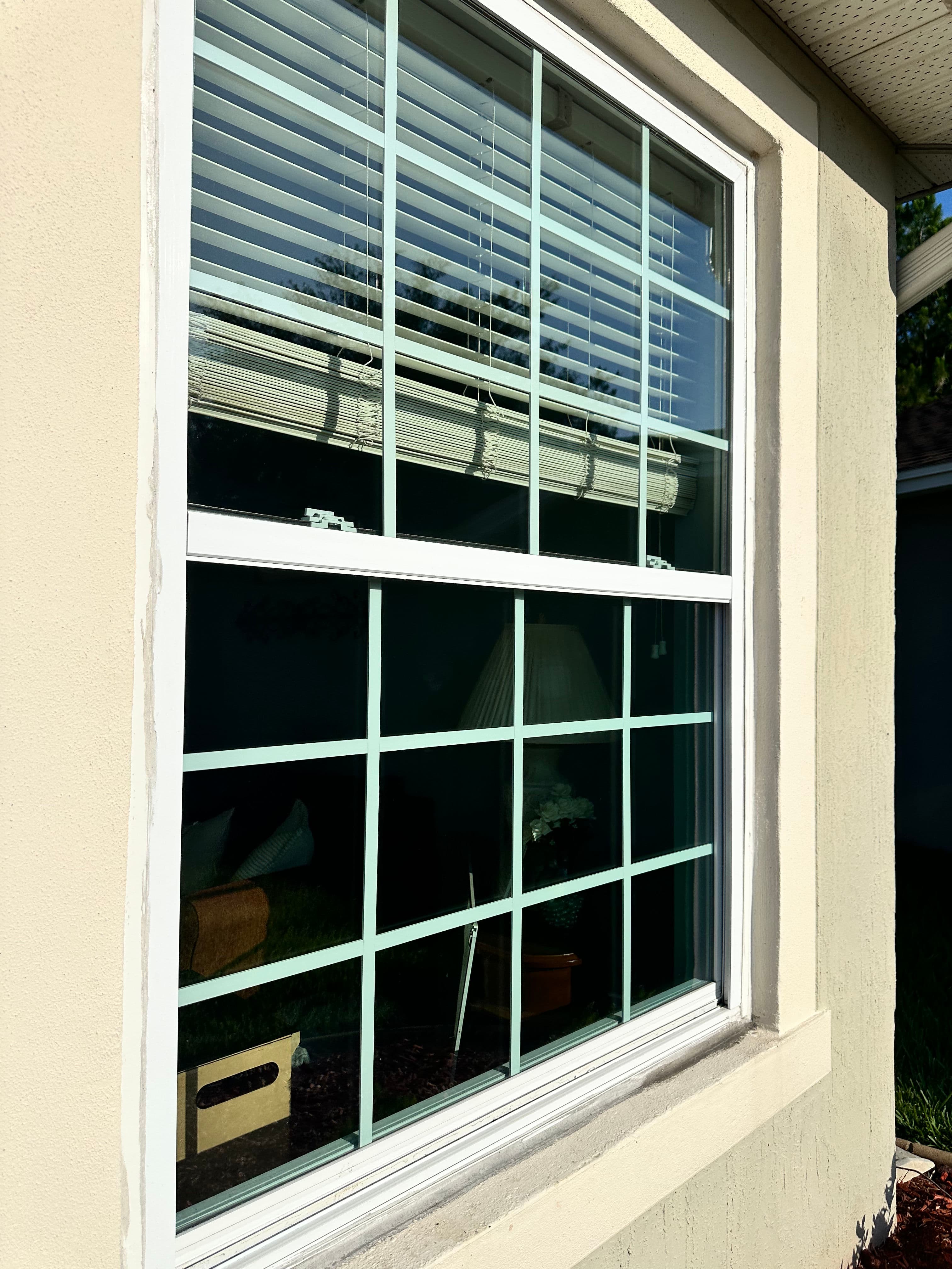 Project Clean Windows Make a Bigger Difference Than You Think image