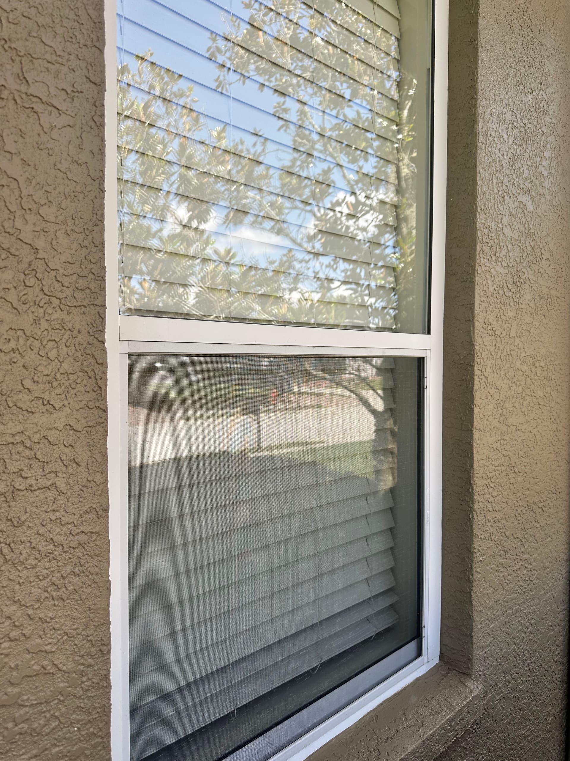 Gallery photos for Clean Windows Make Your Whole Home Look Better: Image #1