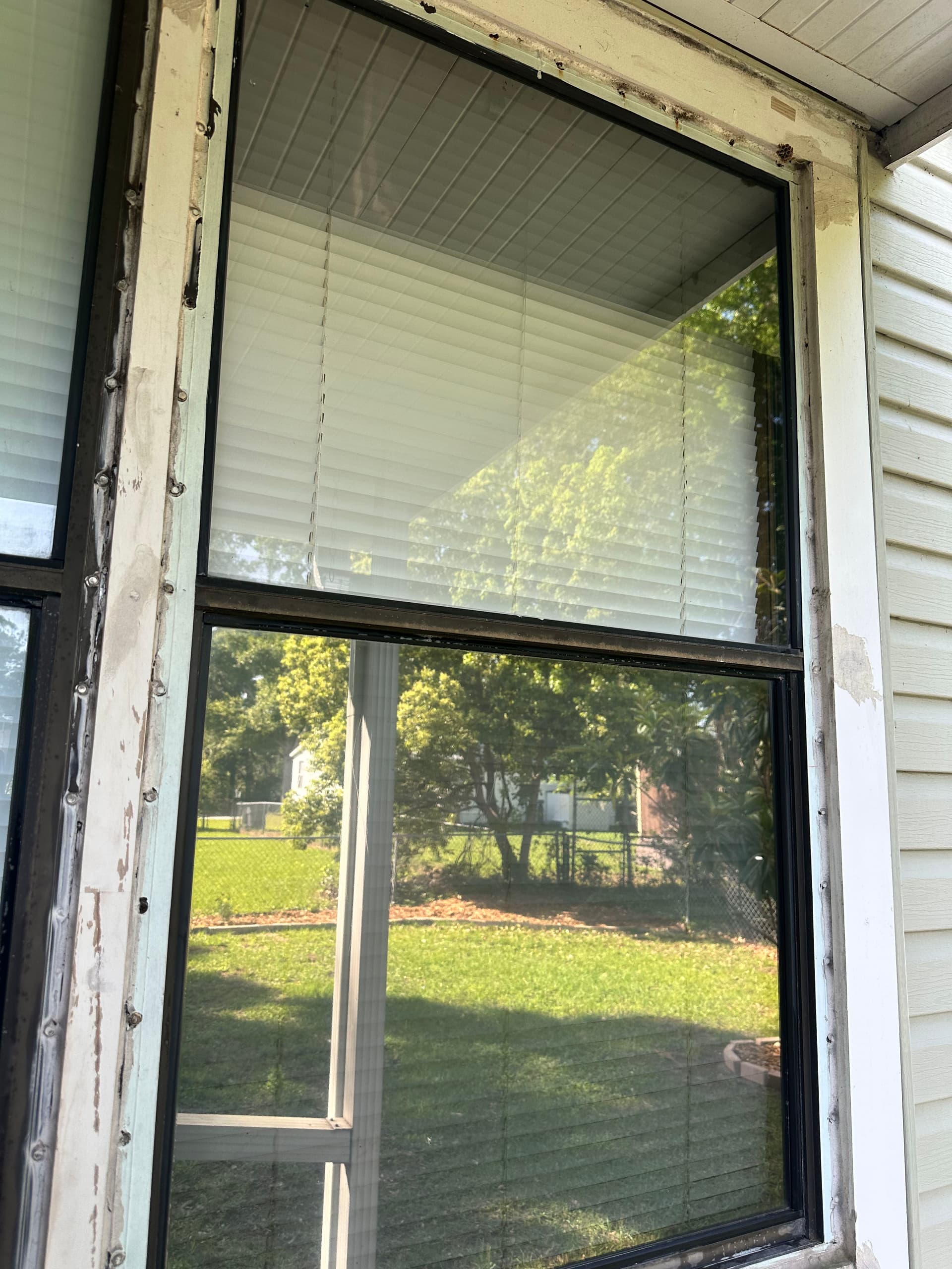 Your View Deserves Clean Windows image