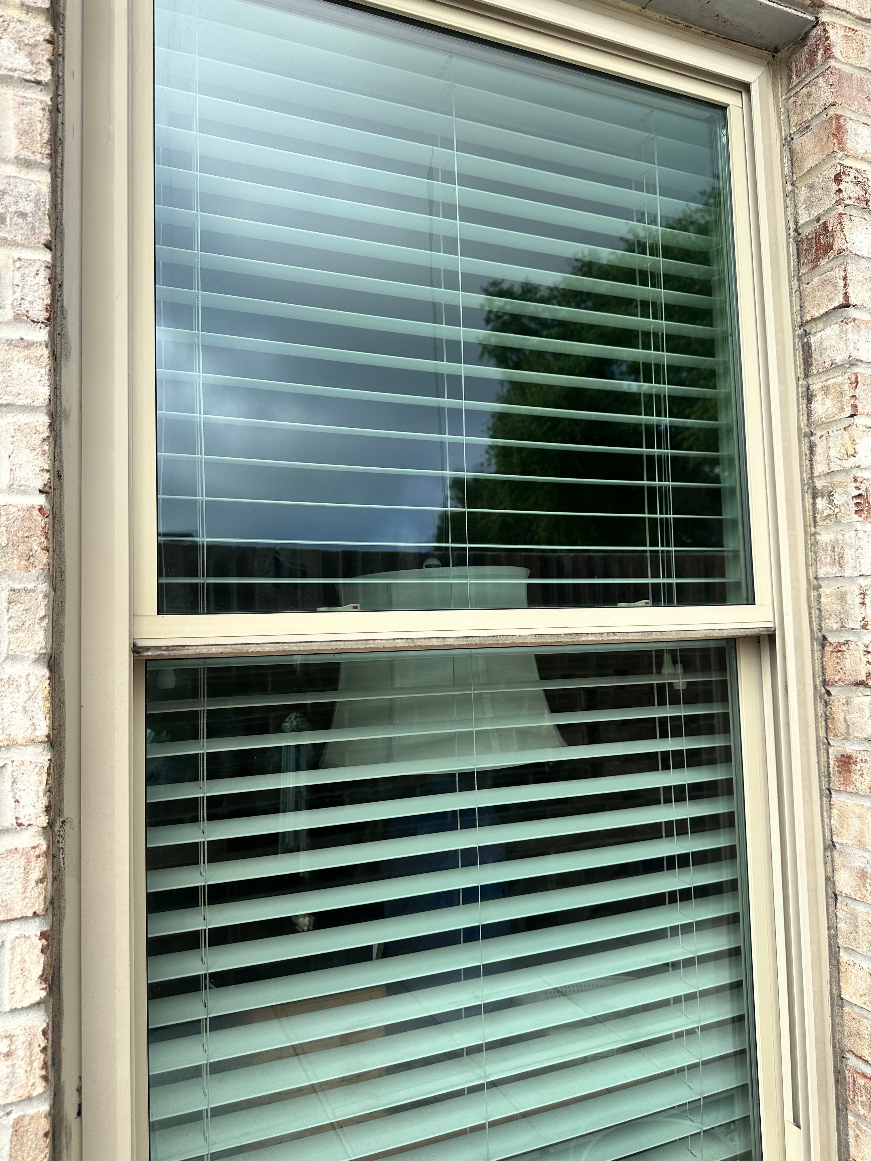 Project Clean Windows Make Your Whole Home Look Sharper in Lakeland image