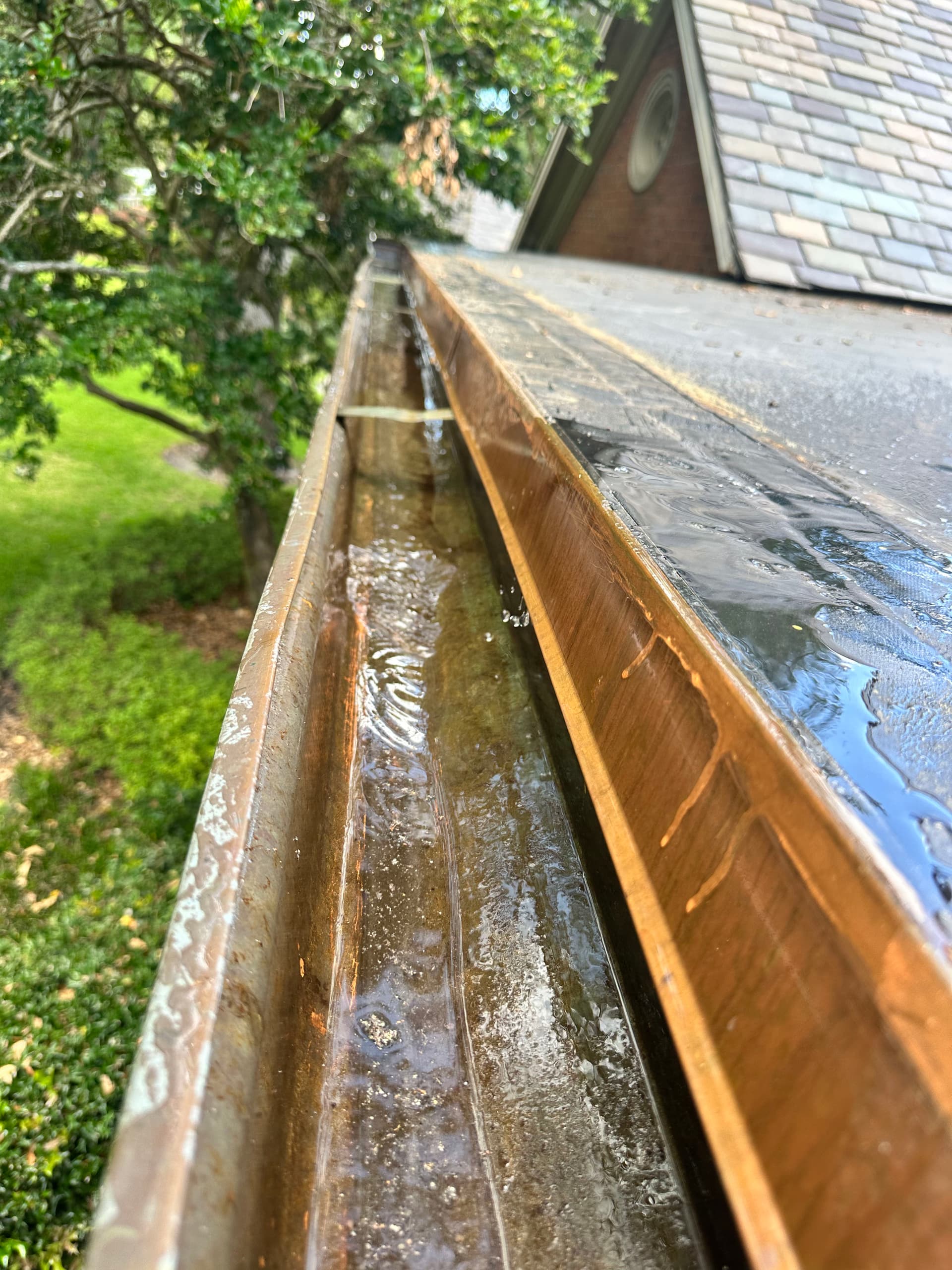 Gallery photos for Standing Water in Your Gutters Is Never a Good Sign: Image #2