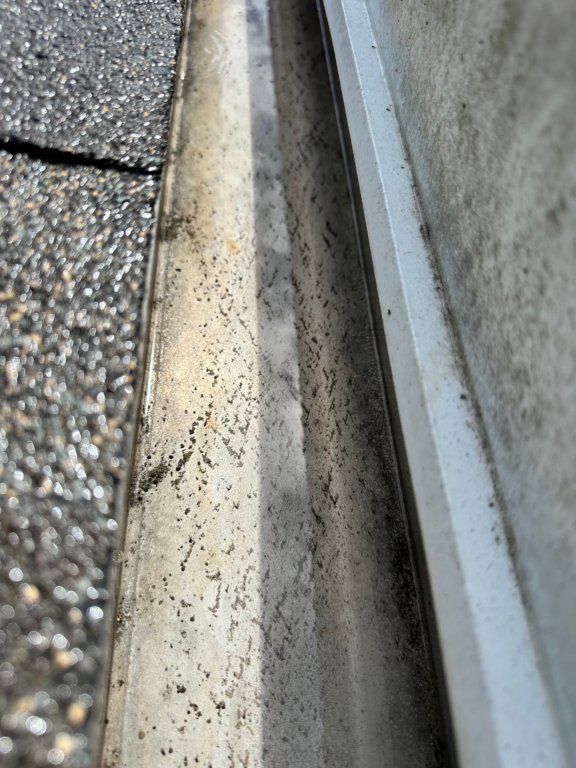Importance of Regular Gutter Maintenance image
