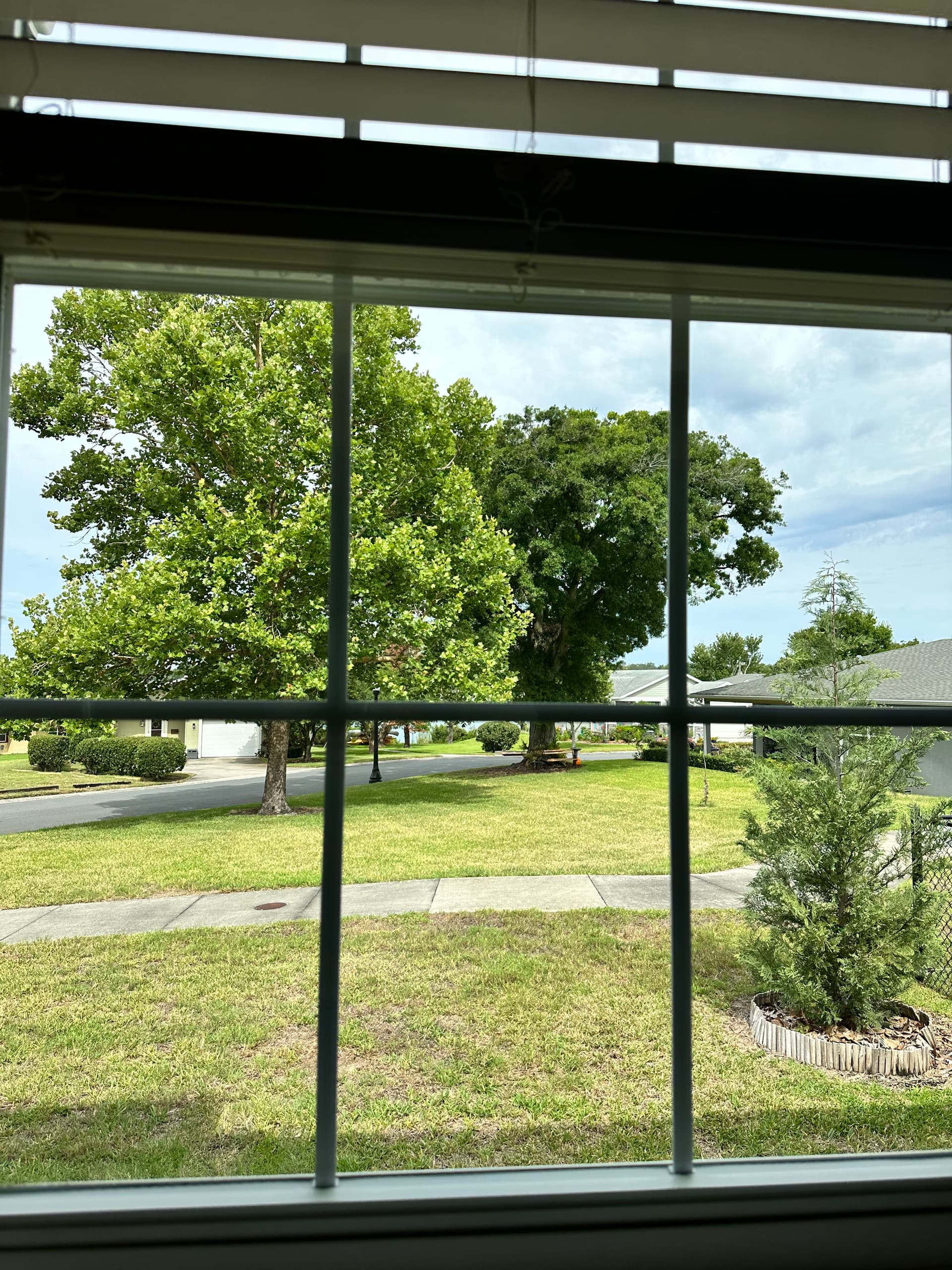 Gallery photos for Clean Exterior Windows Make a Bigger Difference Than You Think: Image #1