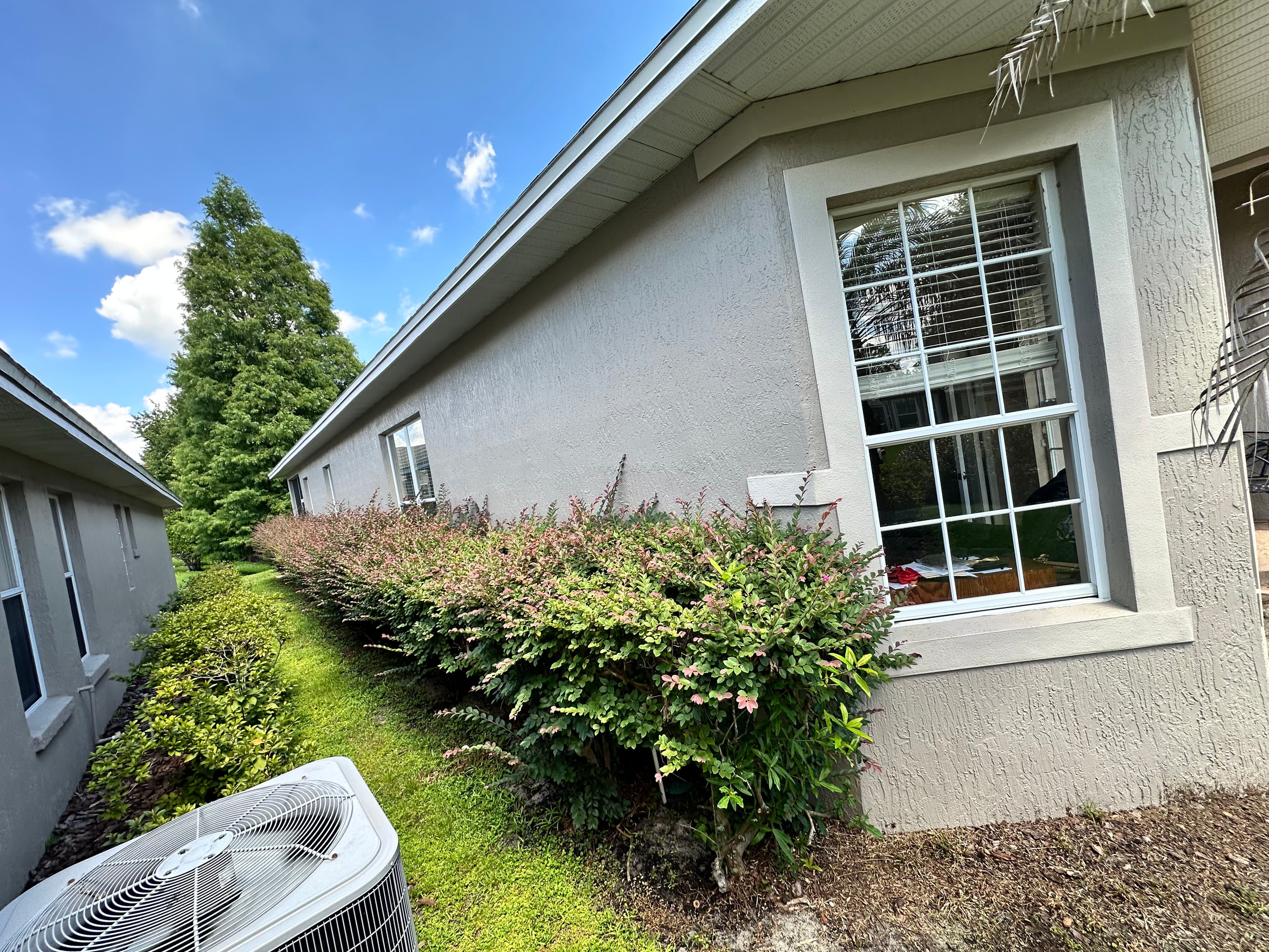 Project Streak-Free Exterior Window Cleaning That Sharpens Your Home's Look image