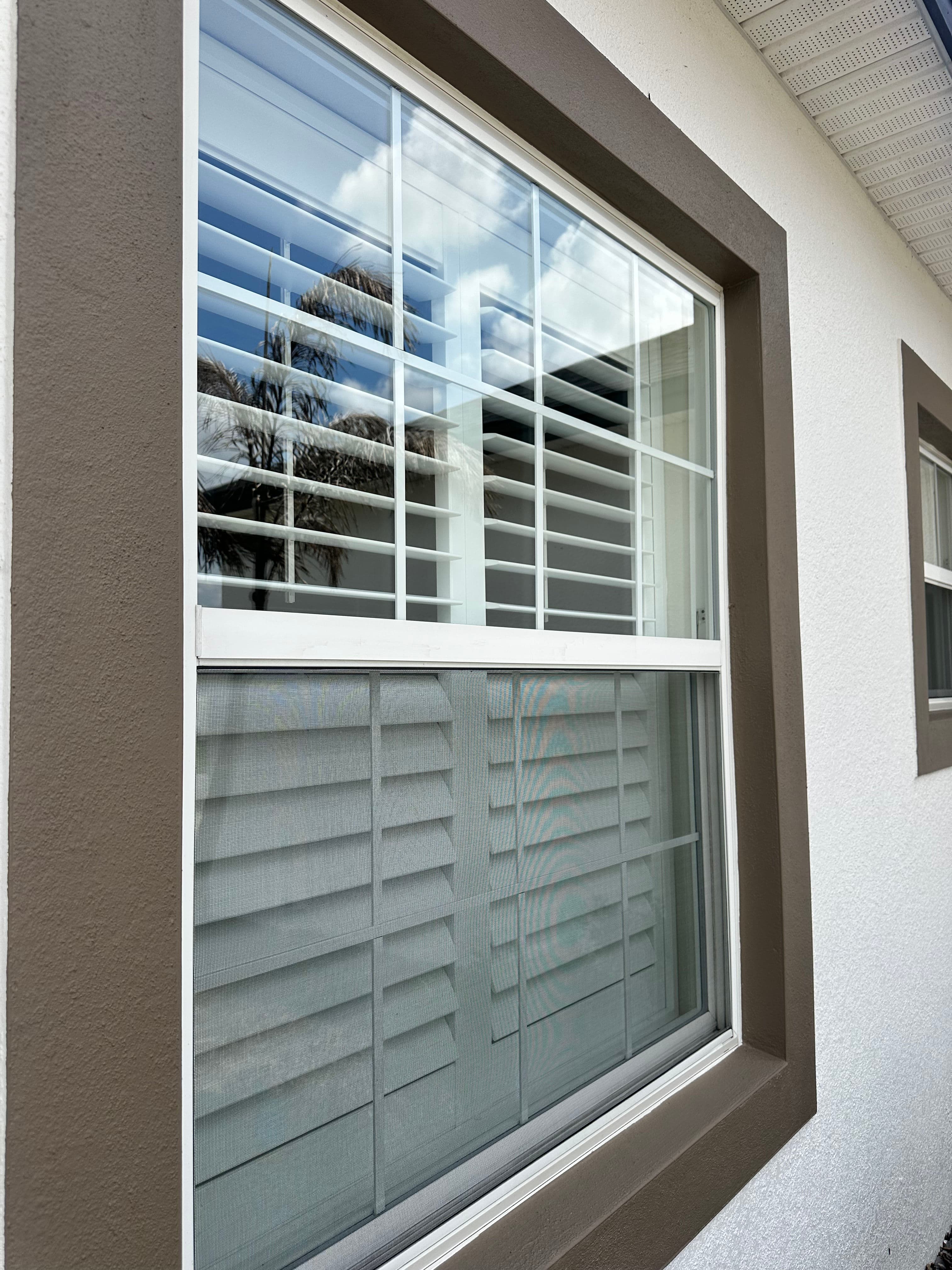 Project Clean Windows That Actually Let the Light In image