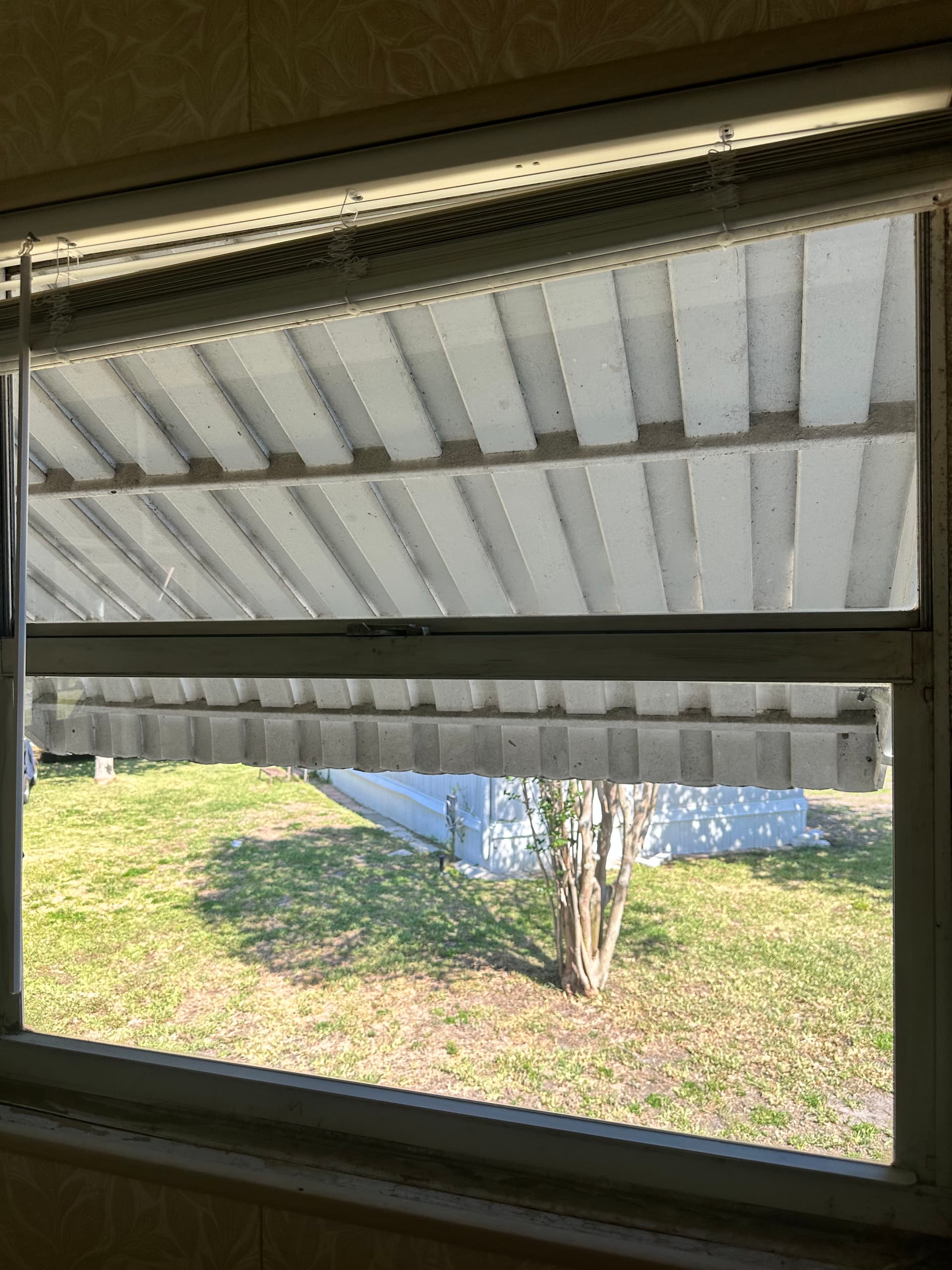 Interior and Exterior Window Cleaning in Lakeland image