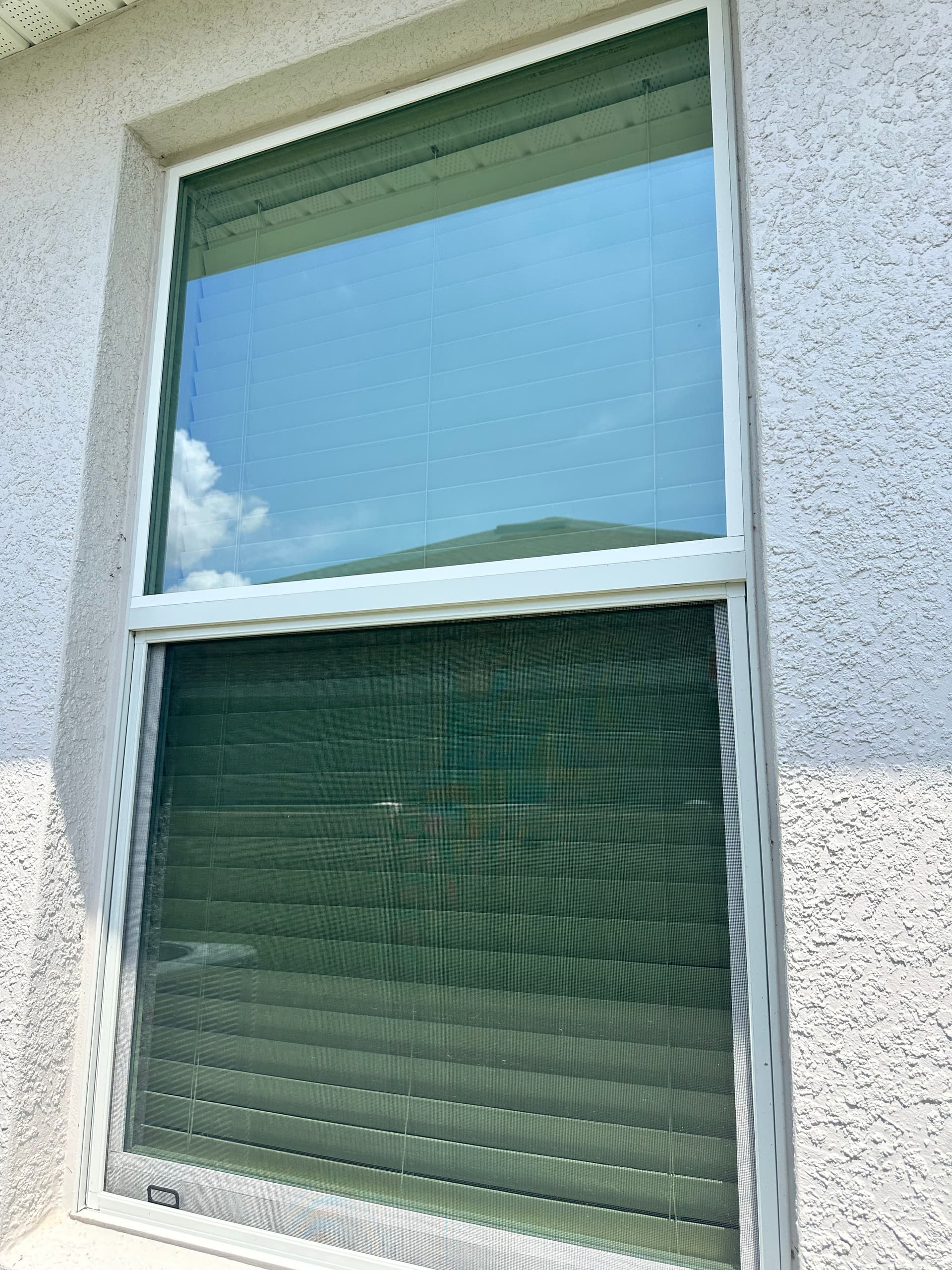 Exterior Window Cleaning in Lakeland That Actually Makes a Difference image