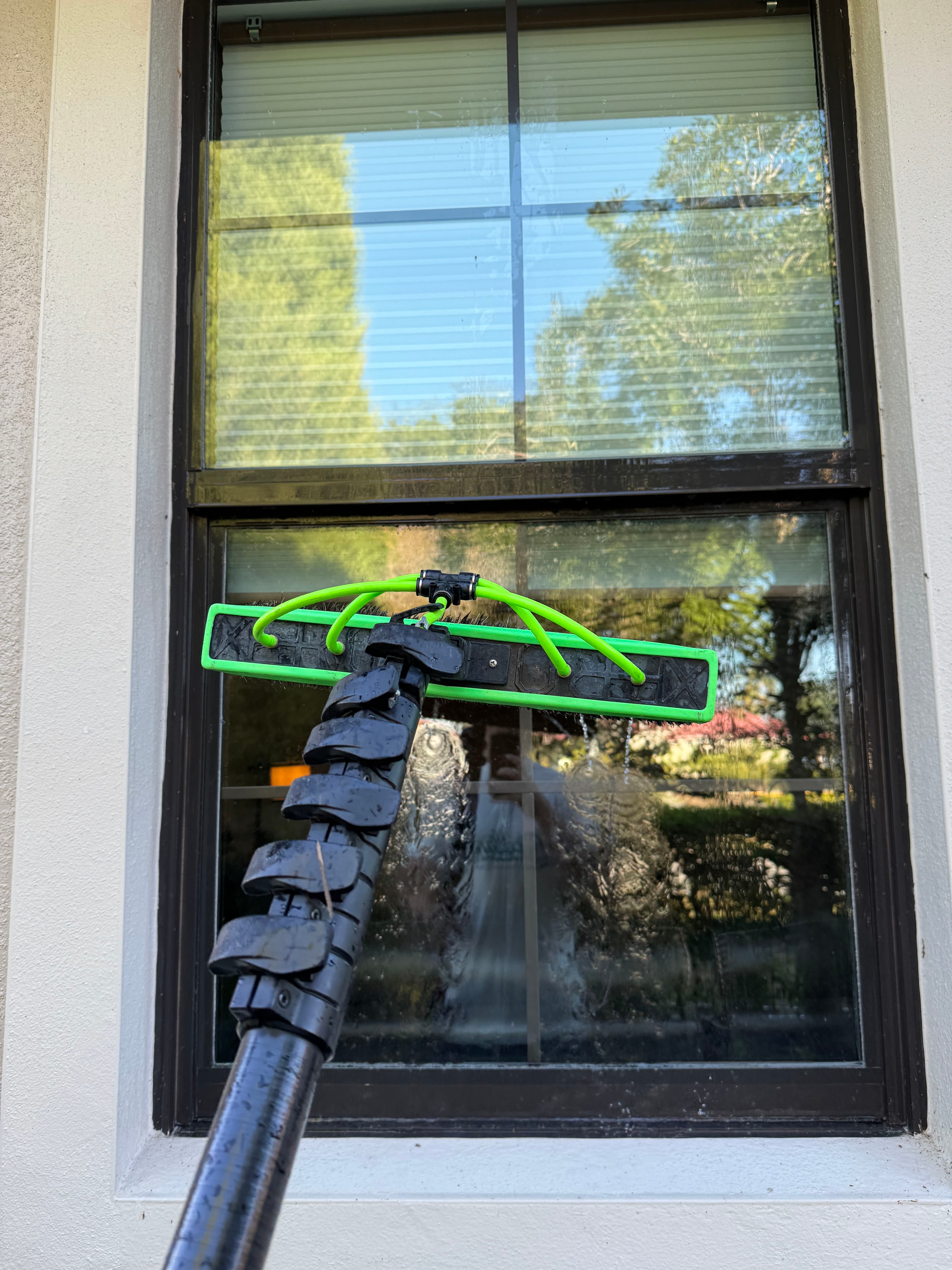 Project Sparkling Views at Home image