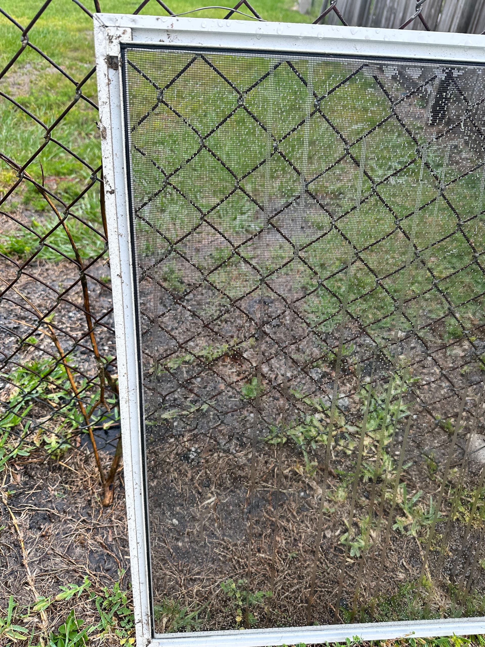 Your Window Screens Are Dirtier Than You Think image