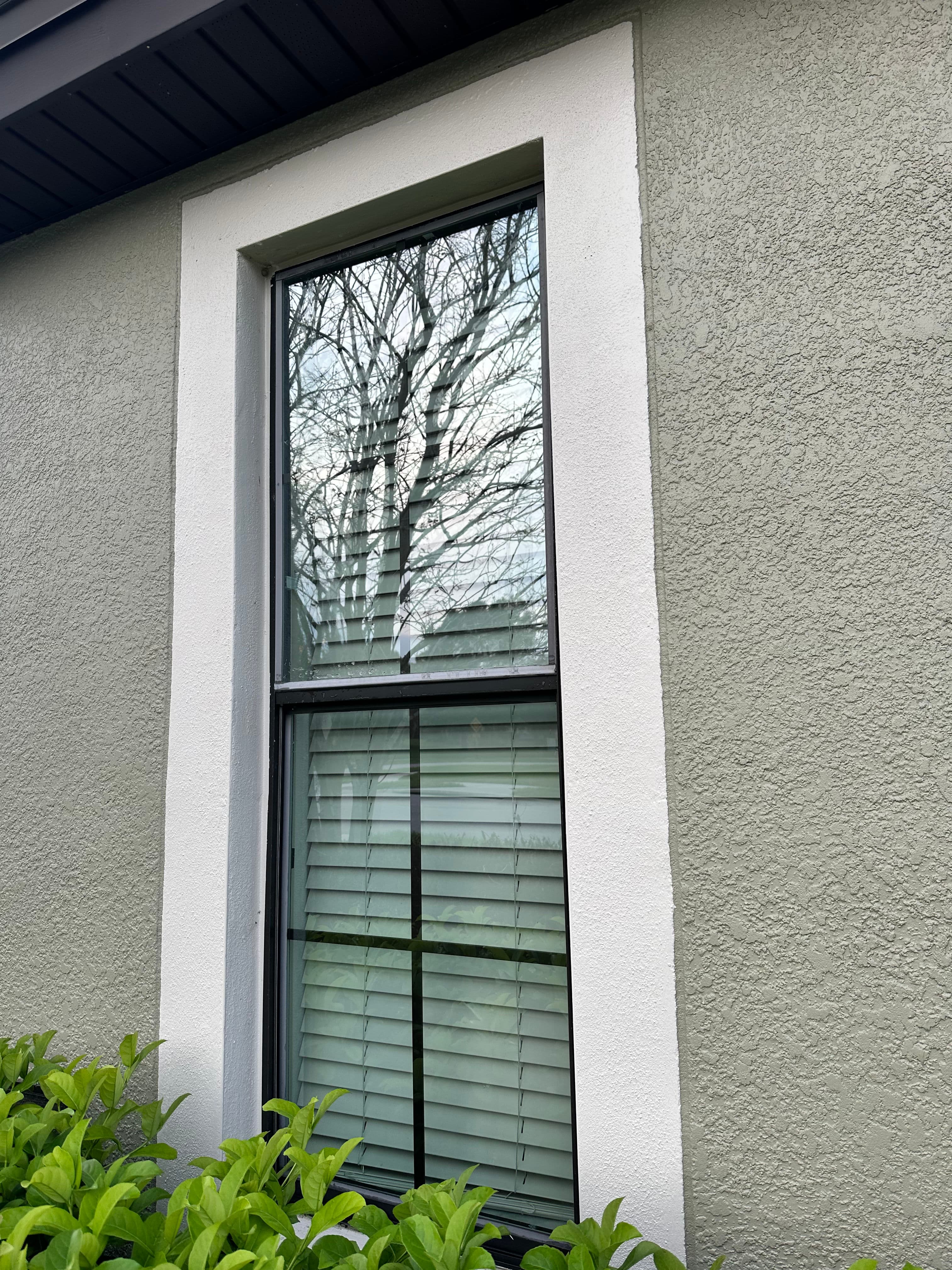 Project Lakeland's Clear Success with Window Cleaning image