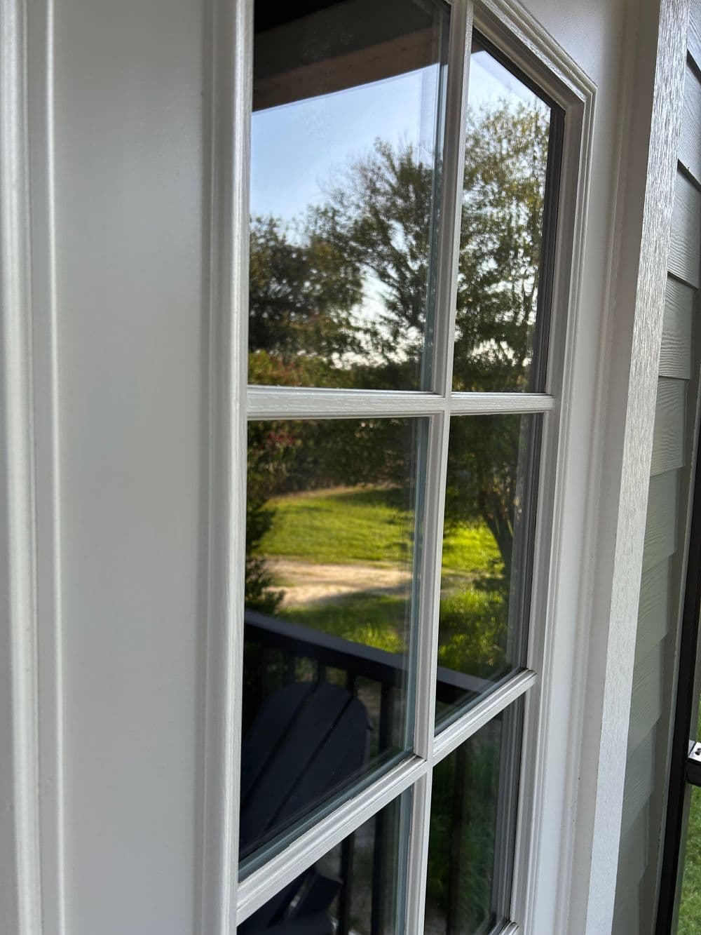 Close-up of a white door with divided glass panes, reflecting a green outdoor scene.