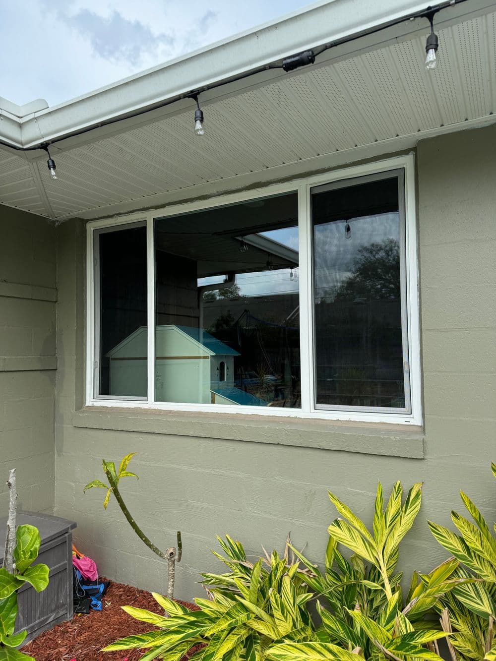 Window with greenery in front, modern house exterior, and string lights above.