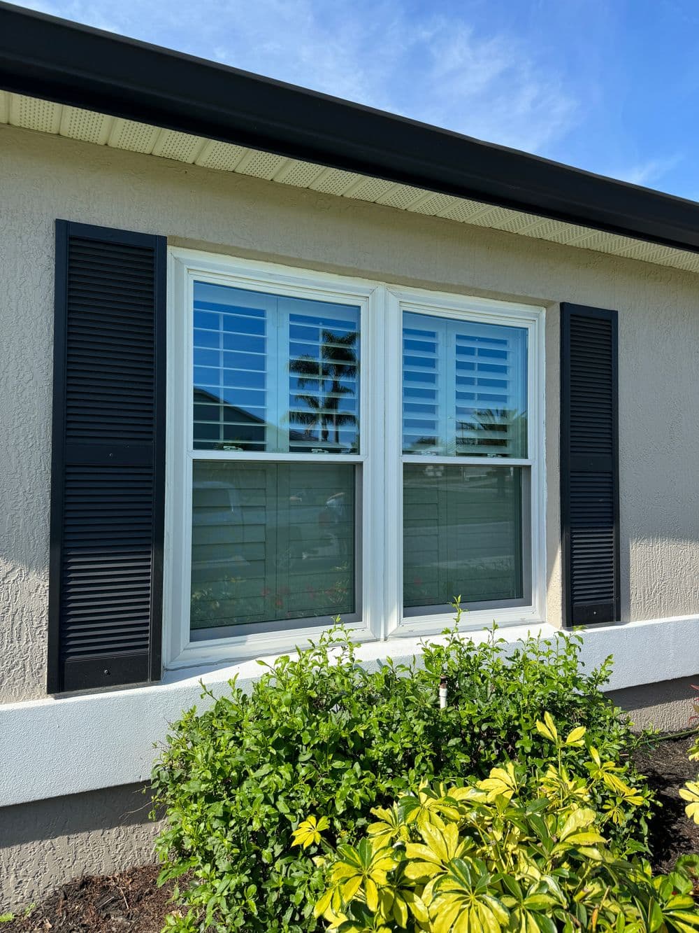 Beautifully framed double window with shutters and lush green shrubs in front.