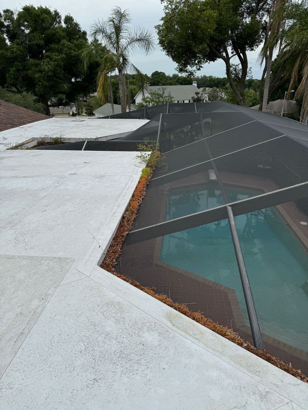 Swimming pool with a screen enclosure on a rooftop, surrounded by palm trees and greenery.