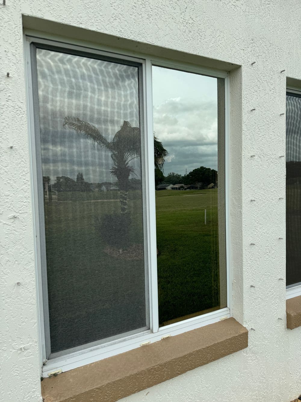 Window with reflective glass showing a palm tree and cloudy sky outside. Green lawn visible.