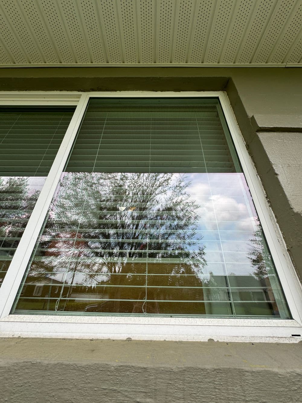Window with blinds reflecting a tree and clouds outside in bright daylight.