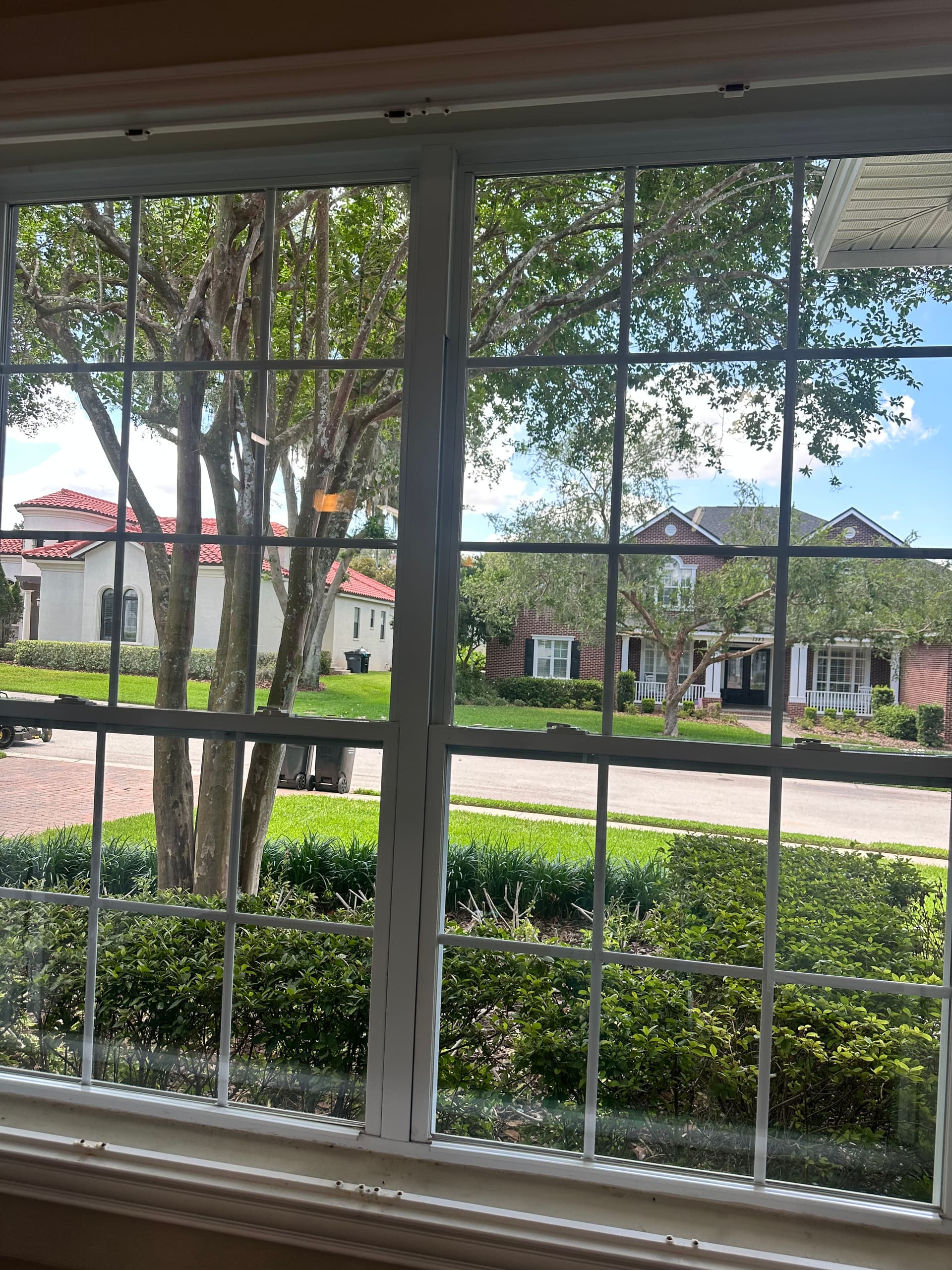 Clean Windows Make Every View Better in Lakeland image