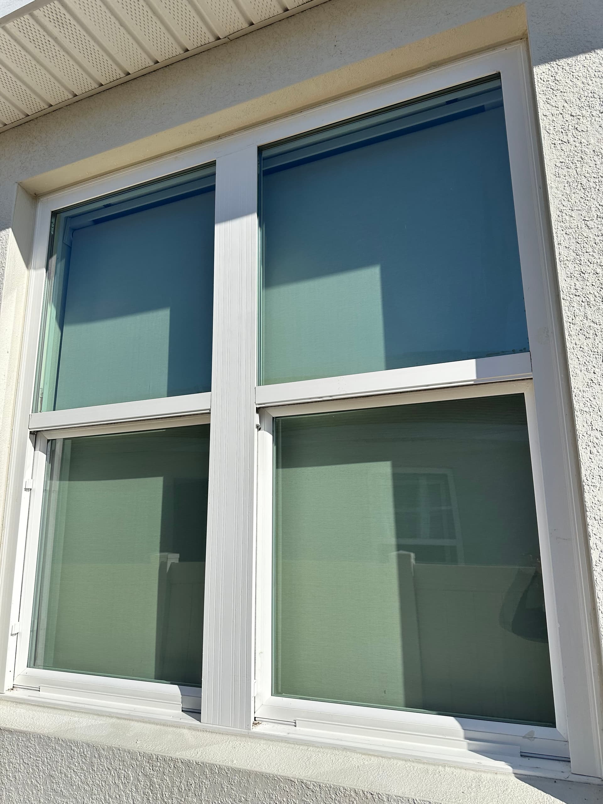 Shiny Views Start Here image